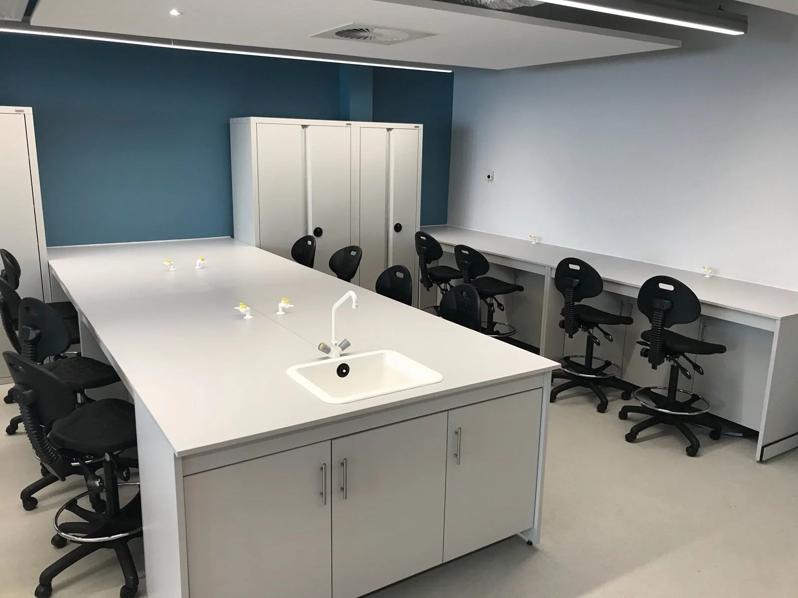 LAB 19.jpg