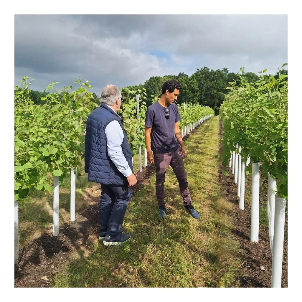 Take a look at London&rsquo;s urban winery scene in this article posted by @thetimes yesterday. 

The piece highlights winemaking in heart of the city and its long history. You know 'Vine Street' in Piccadilly or 'Vine Hill' over in Clerkenwell? 

Co