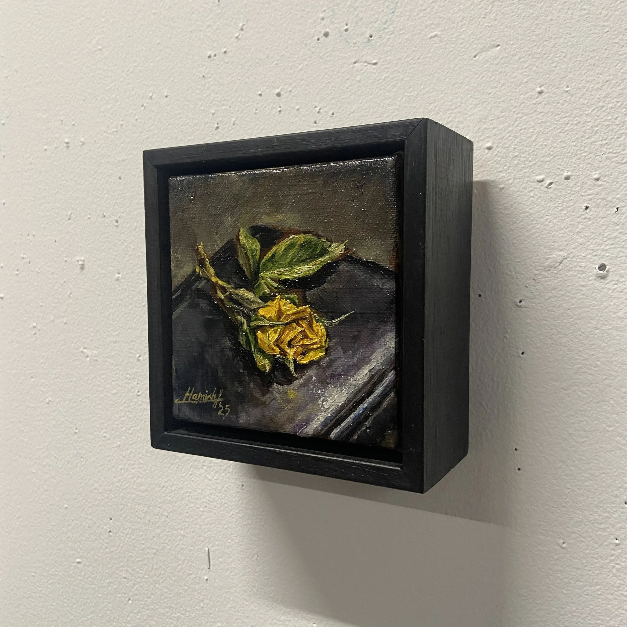 Yellow Rose by Hamish Fleming framed by Shaun C Duncan