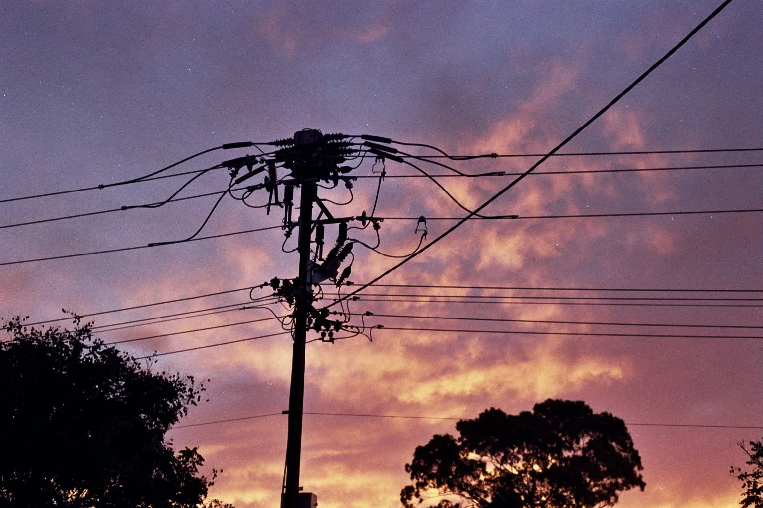 59495051_2221651174814280_622214742554968064_n (1).jpg