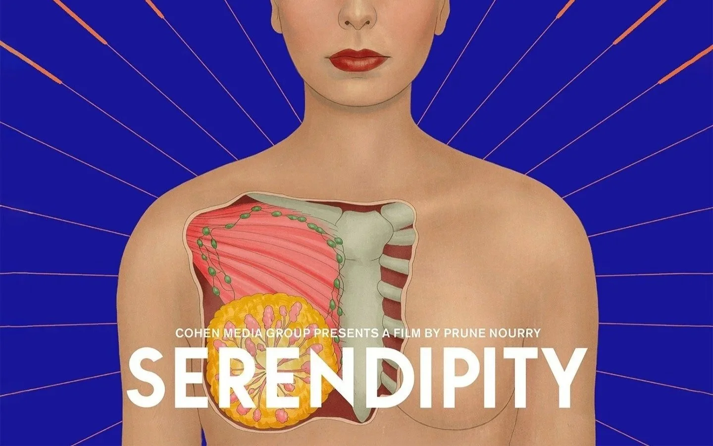 SERENDIPITY