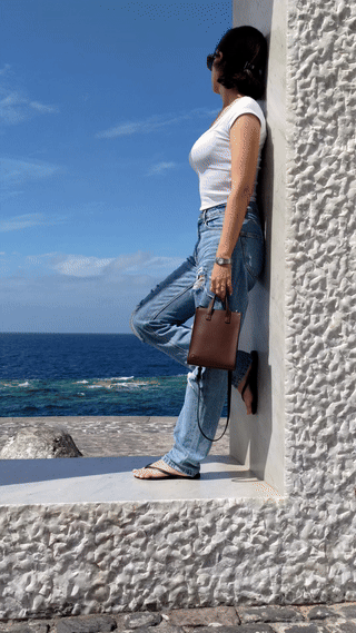 Mini Tote Brown In Movimento 2.gif