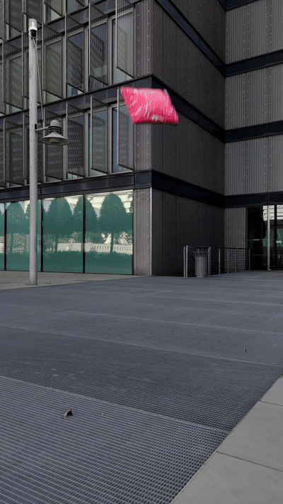 Pink Chaos In Movimento.gif