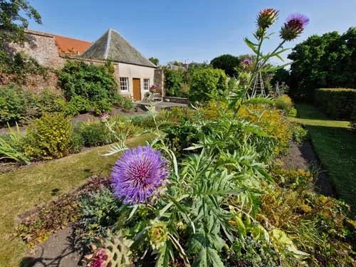 Apple House 500px.jpg