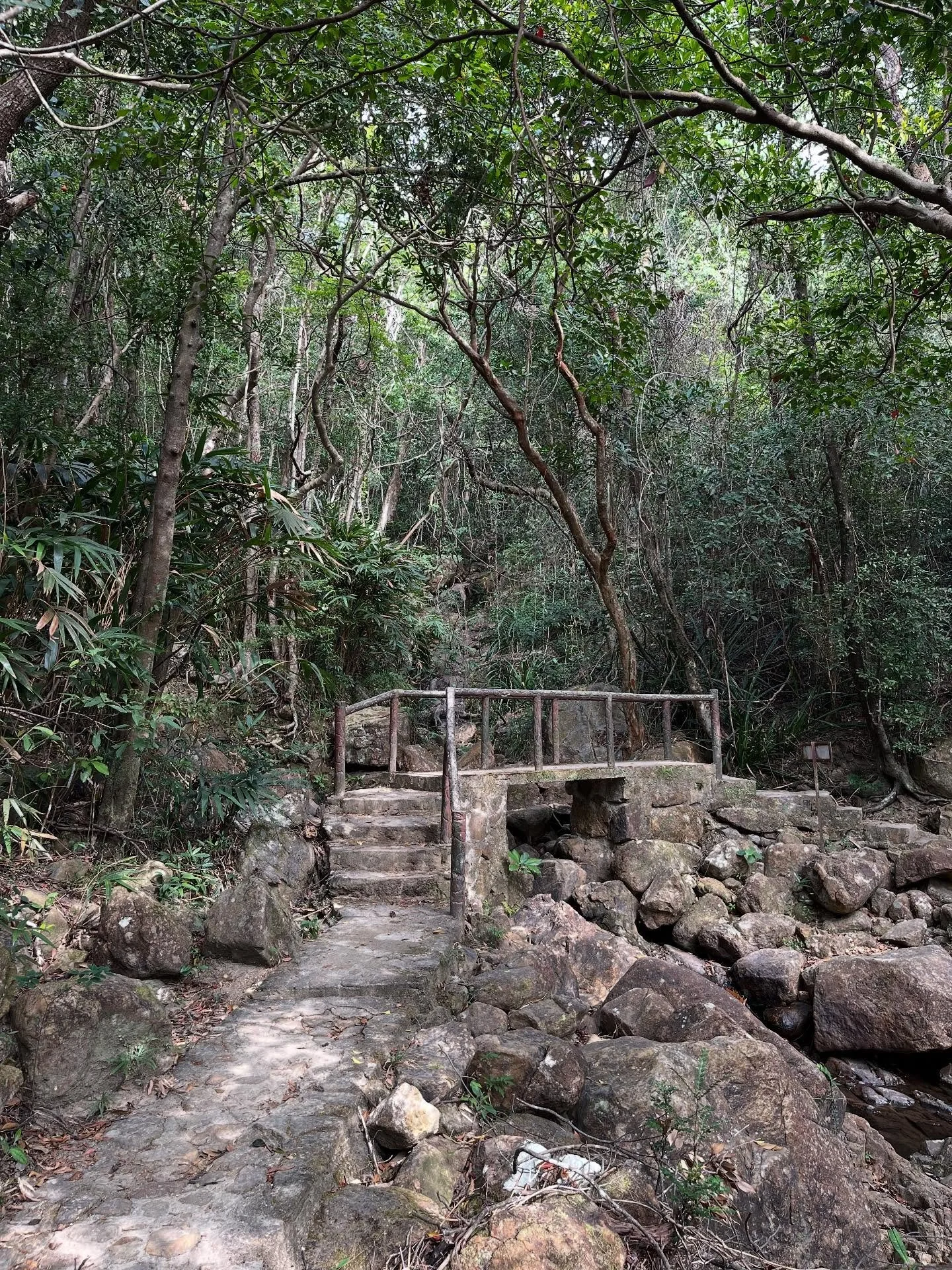 Christmas Day in the woods with @lets.have.tea 💜 what a magical day! Nature was so stunning, it looked like it came out of some fantasy land&hellip; so much that I half expected fairies and leprechauns to start showing up! 💫🧚&zwj;♂️🍀