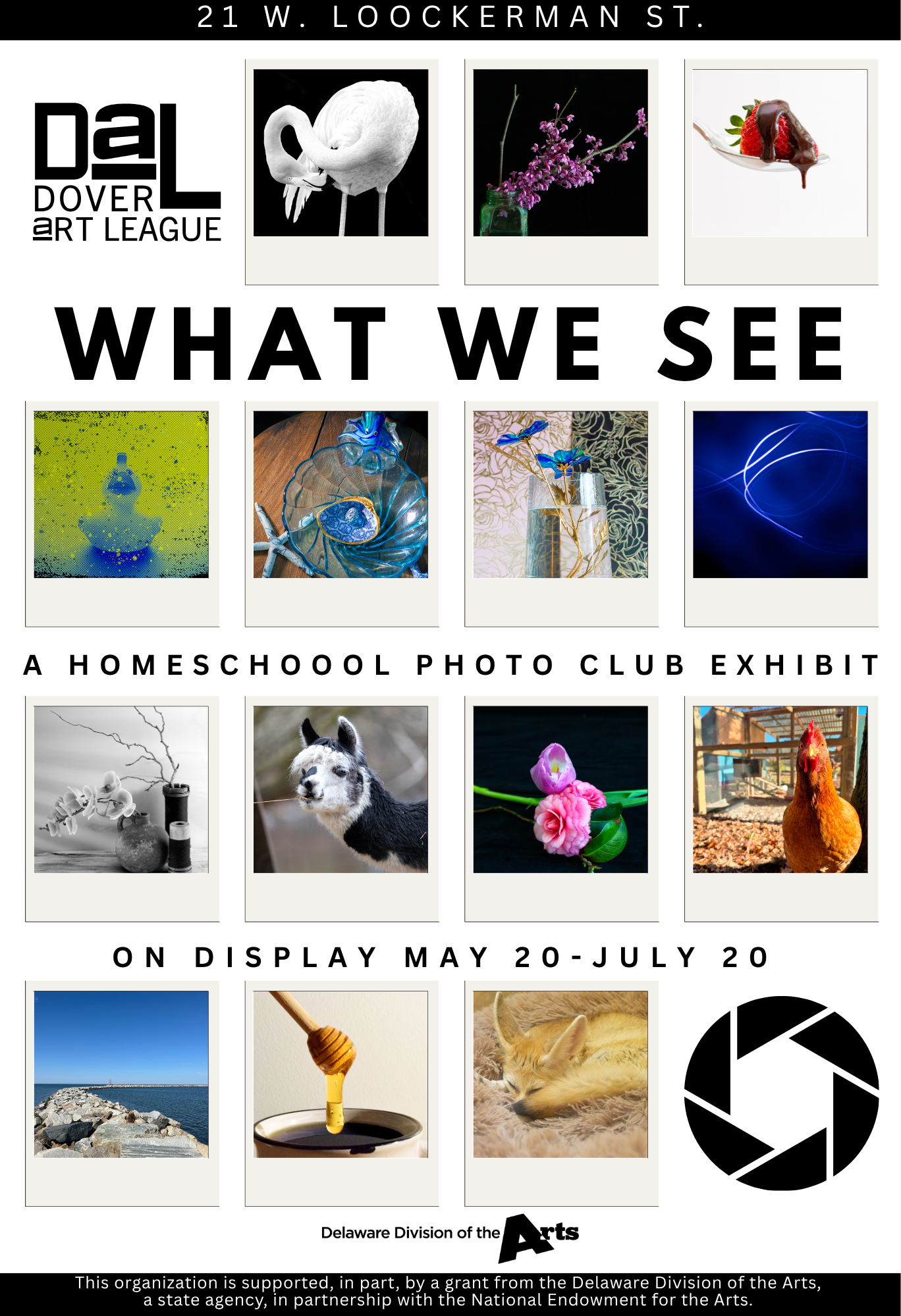 what we see exhibit.png