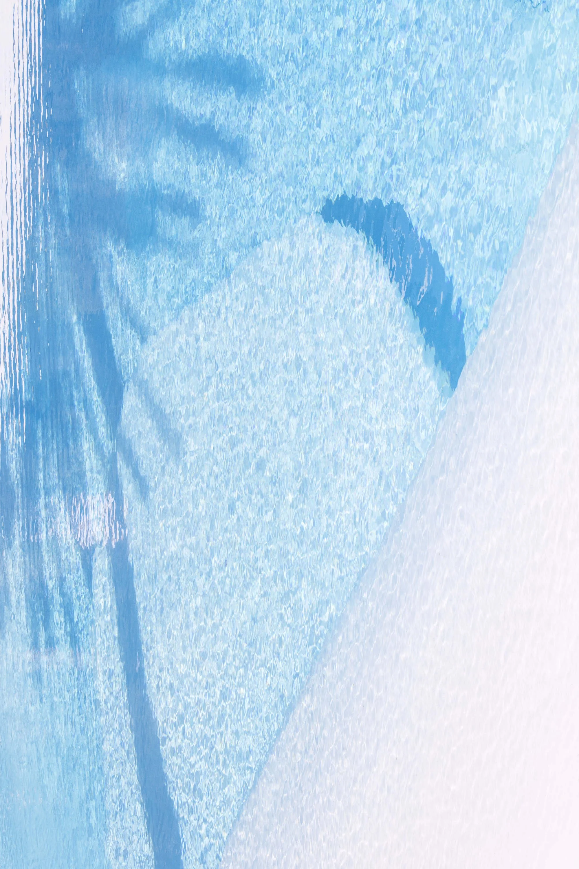 editIMG_6313_2000_c.jpeg
