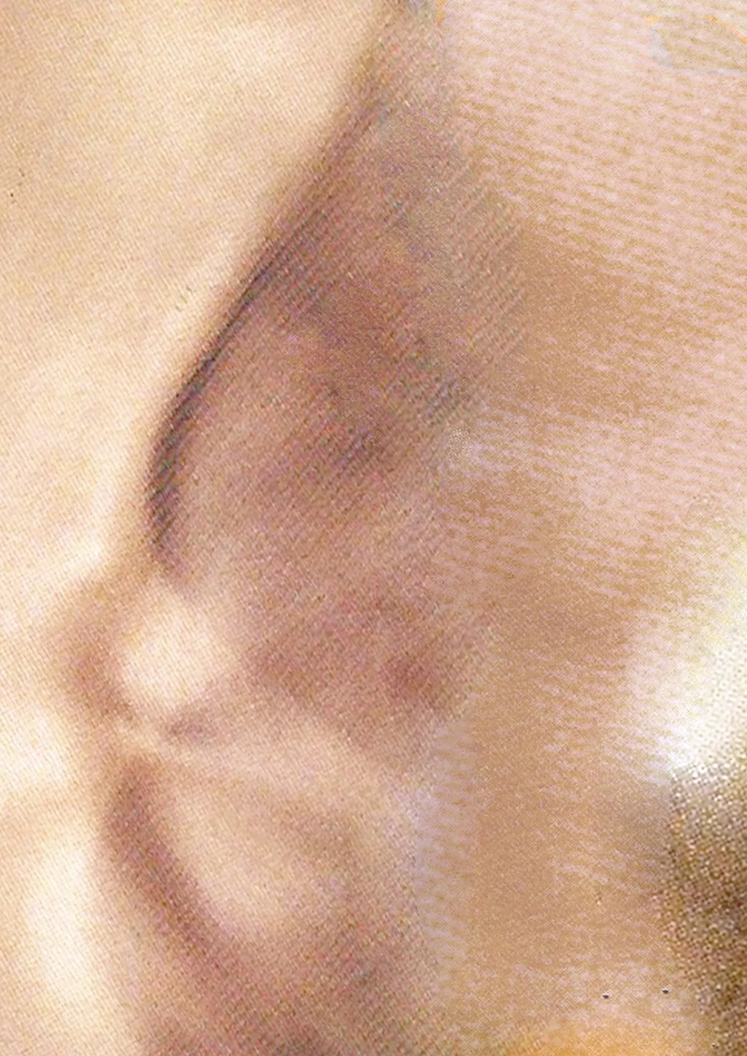 collar_1500.jpeg
