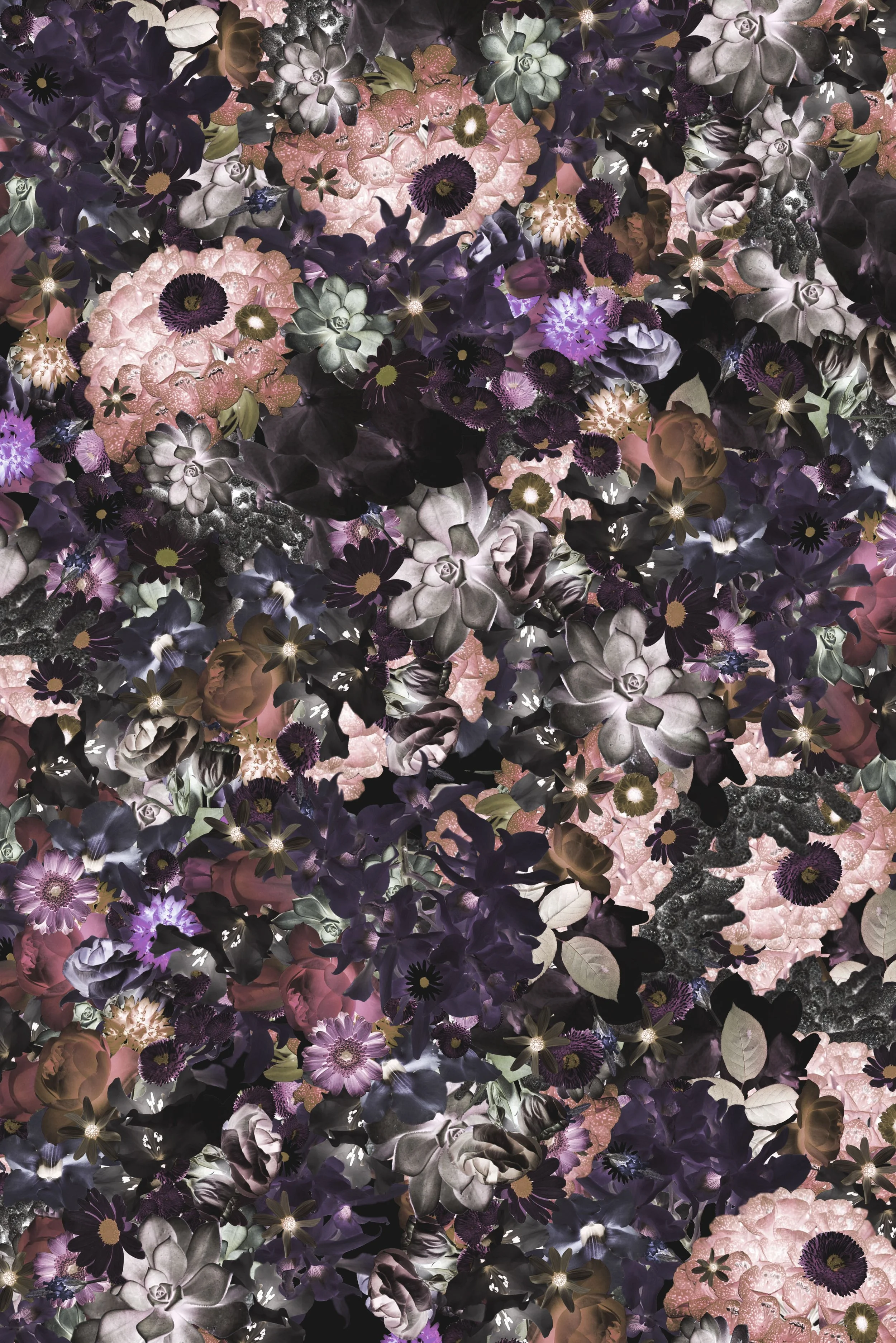 DARKFLORAL2SMALL.jpeg