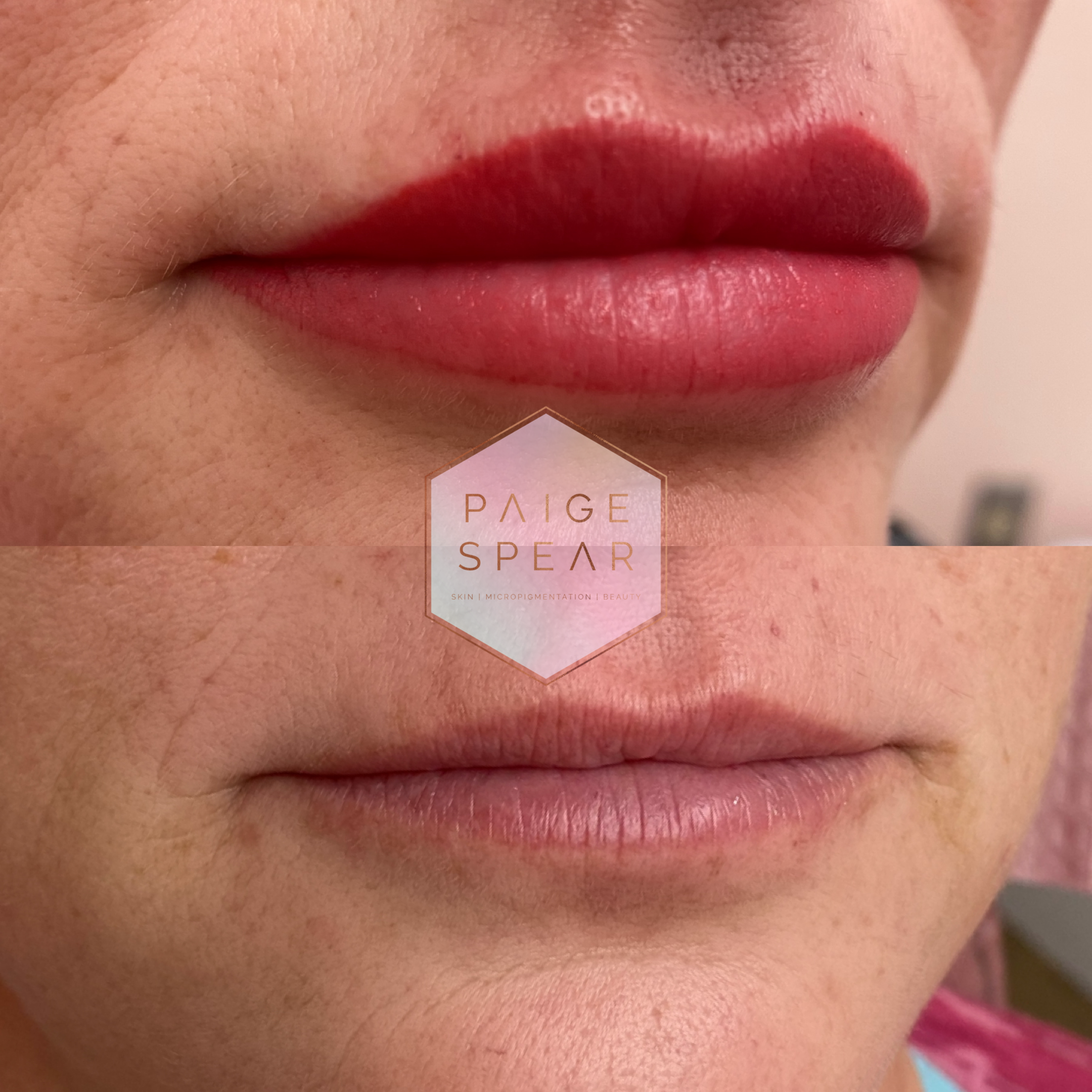 Untitled Design 14.PNG