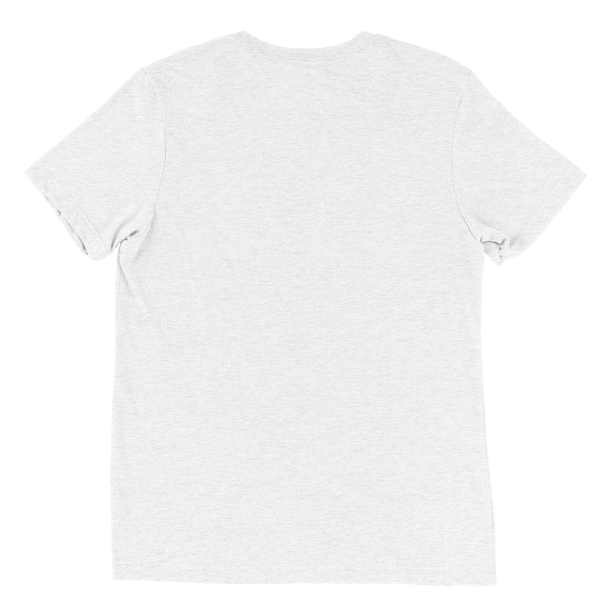 unisex-tri-blend-t-shirt-solid-white-triblend-back-6a1efa6cc6805.png