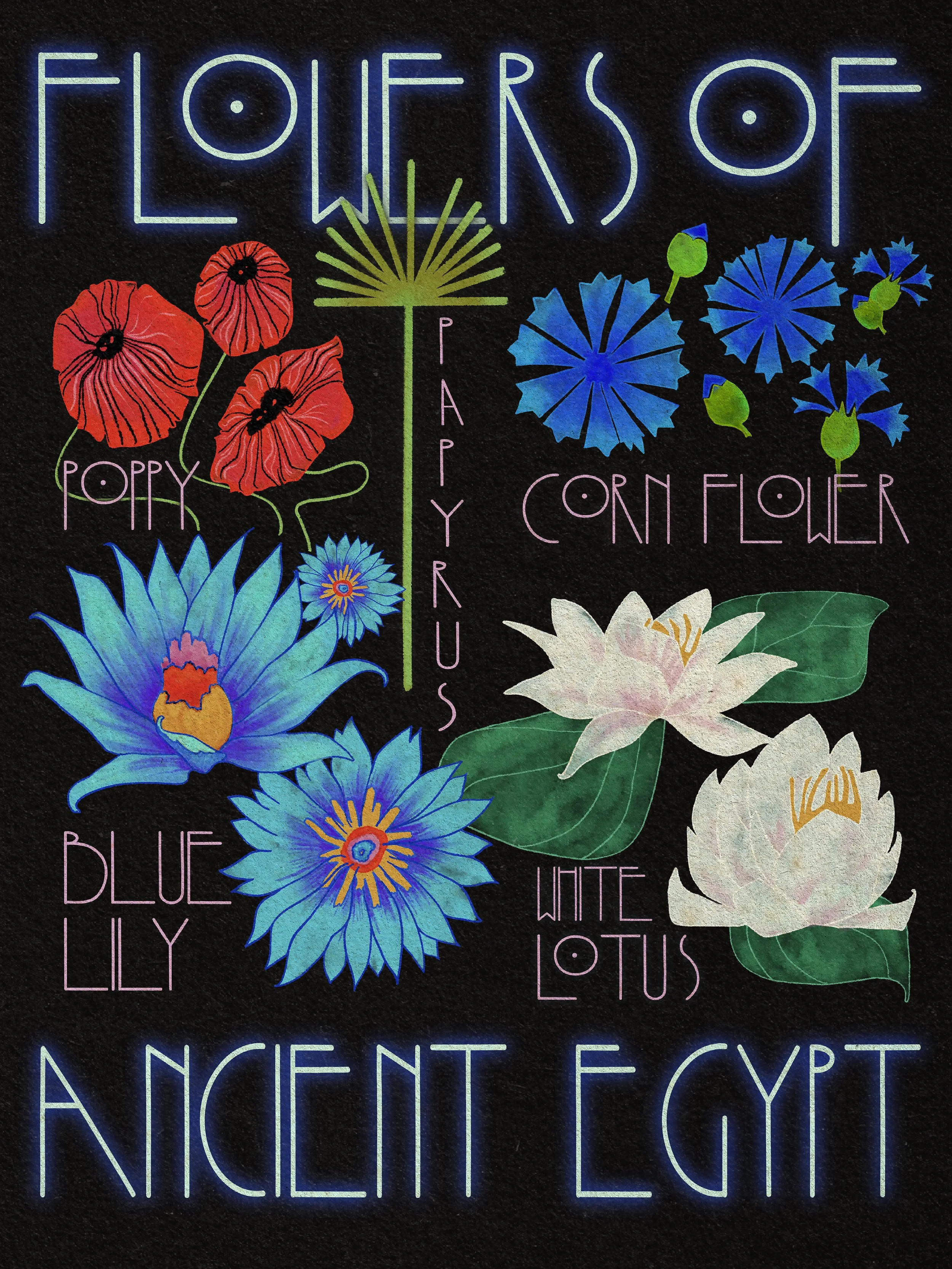 Flowers Of Ancient Egypt Poster