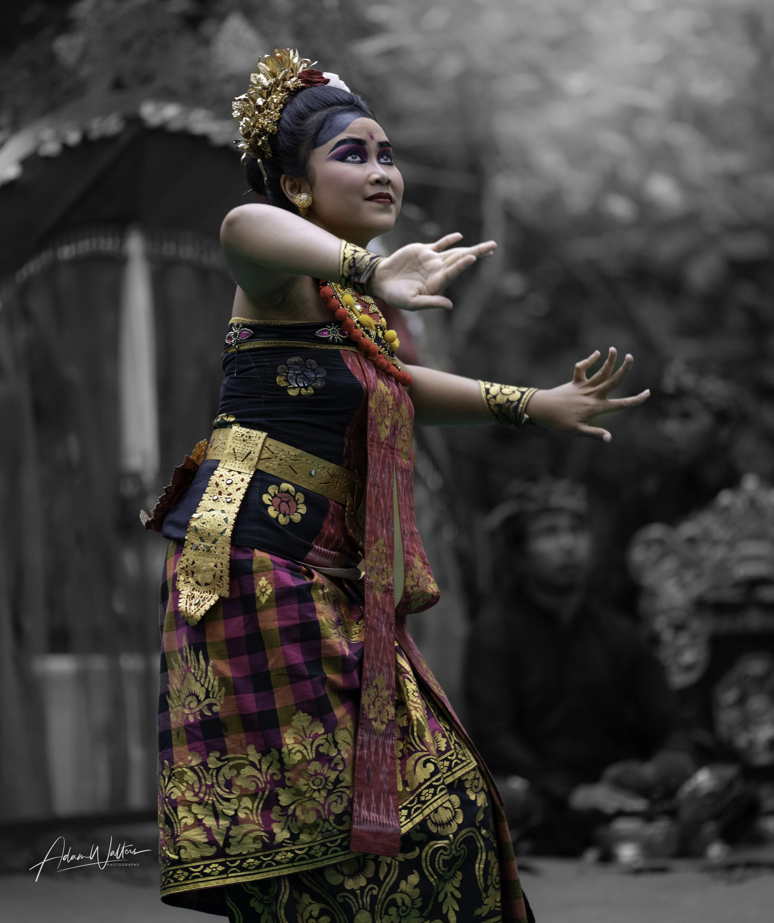 Bali Collection ( Barong Dance )