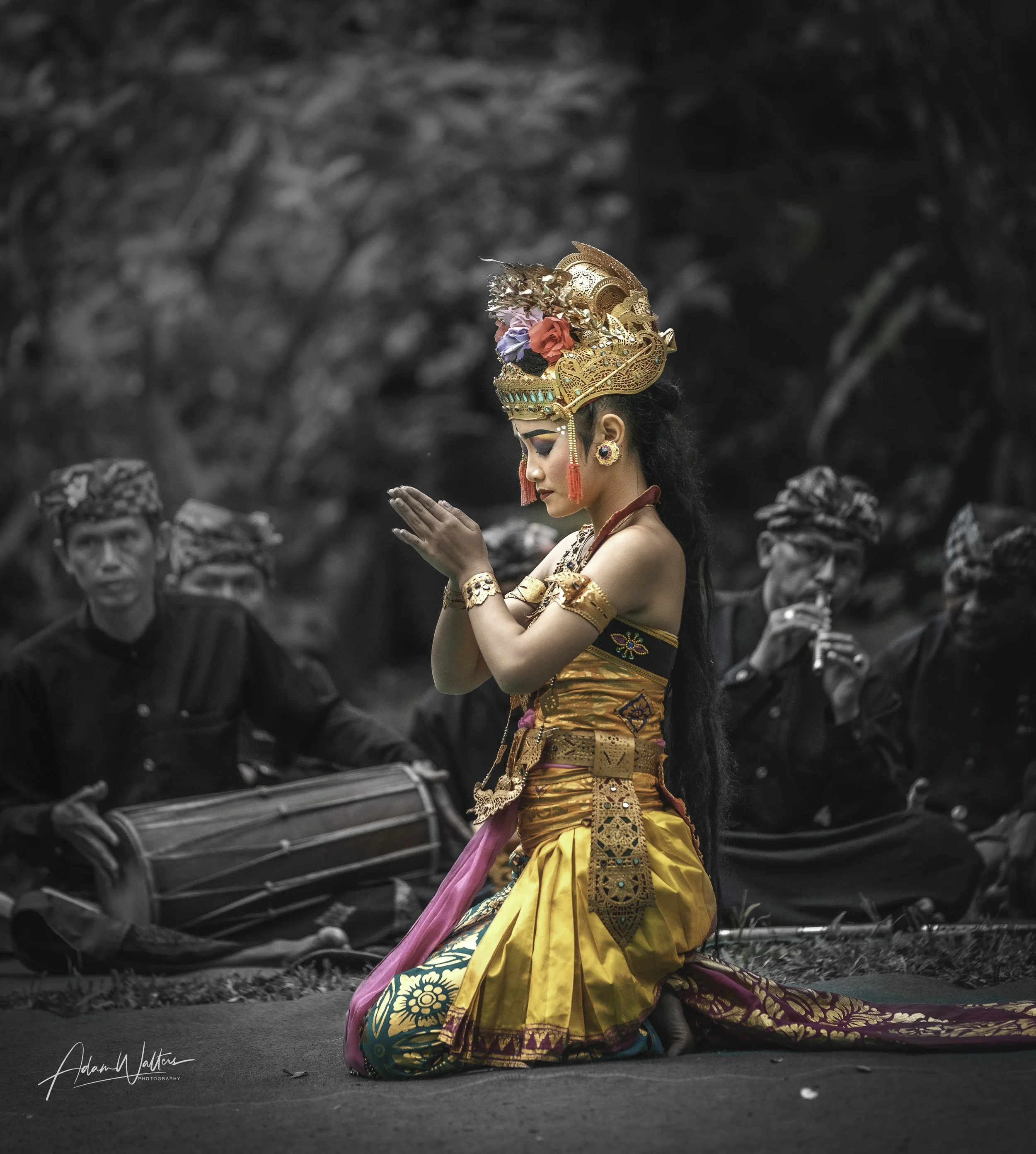 Bali Collection ( Barong Ceremony Dance )