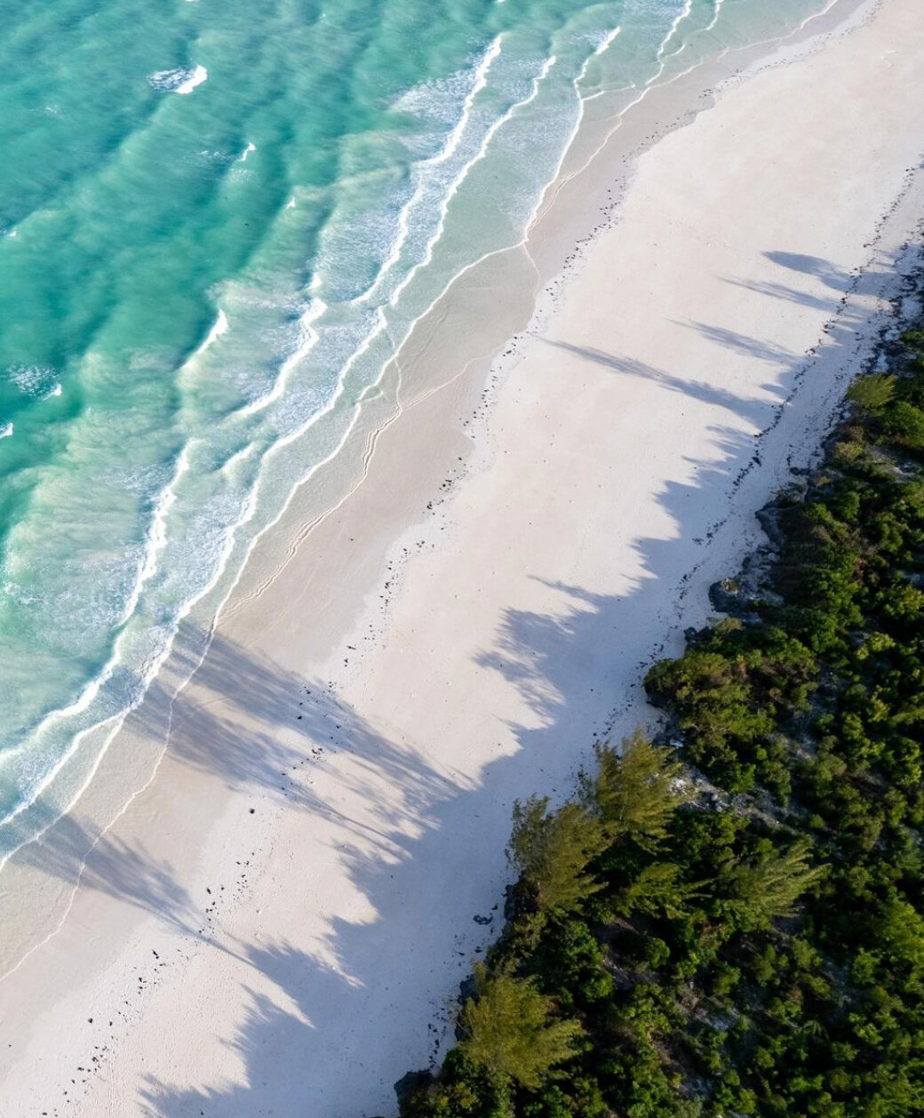 Make Zanzibar's wild southern coast your home from home. With sun bleached sand and turquoise waters, you can live a life of wonder.​​​​​​​​
​​​​​​​​
Talk to us about owning a piece of paradise: contact sales@joharibeach.com today!