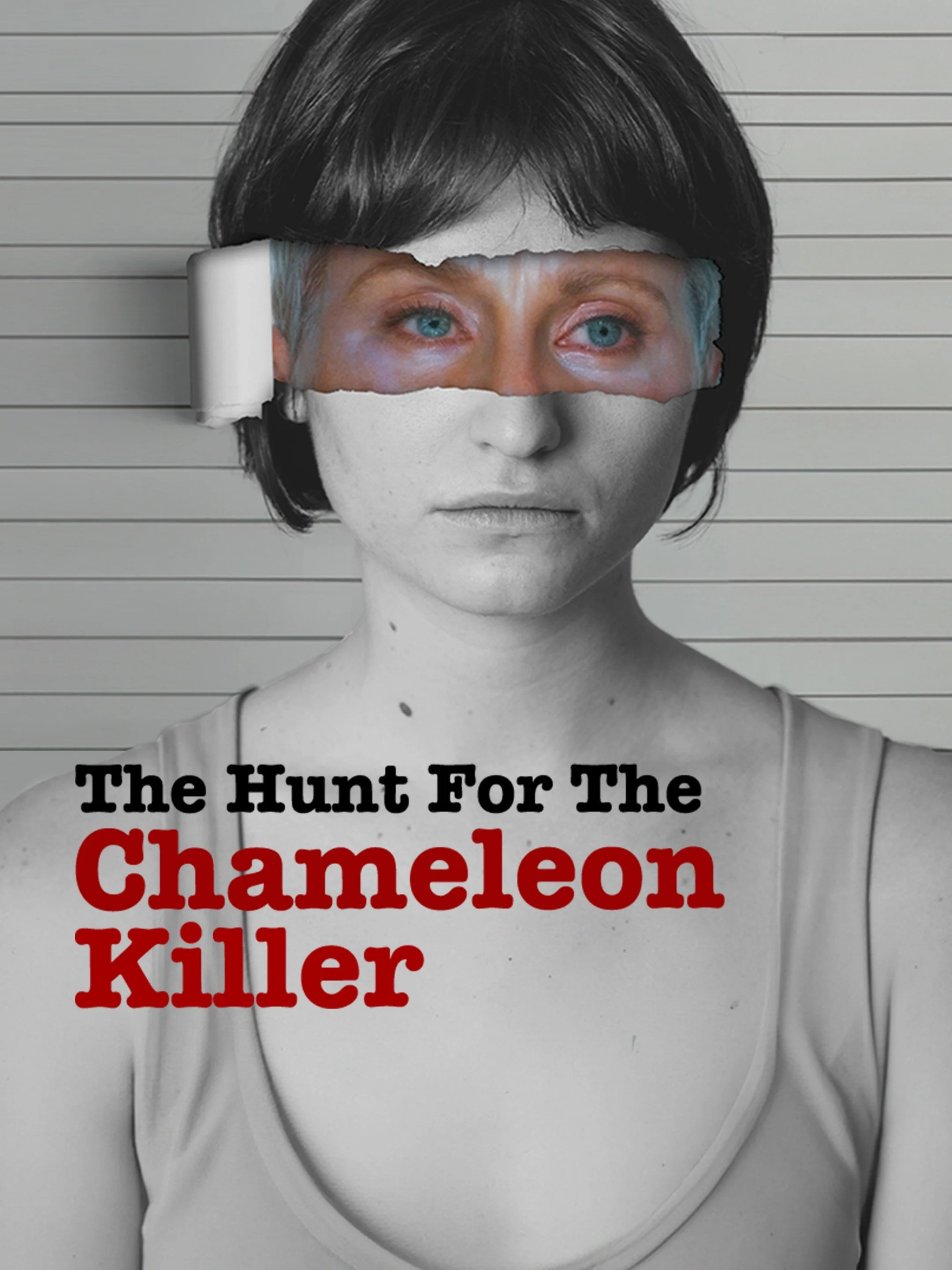 the unt for the chameleon killer - poster.jpg