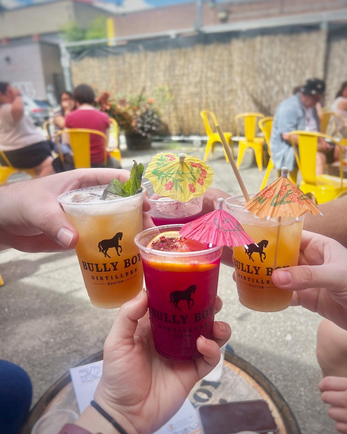 We stepped into a secret Cocktail Garden at @bullyboybooze 🍹 Although we couldn&rsquo;t get a tour of the distillery, their cocktails were delicious! Thanks friends for joining us on our adventures ☺️ T-9 days #BostonBucketList #BestofBoston #verihu