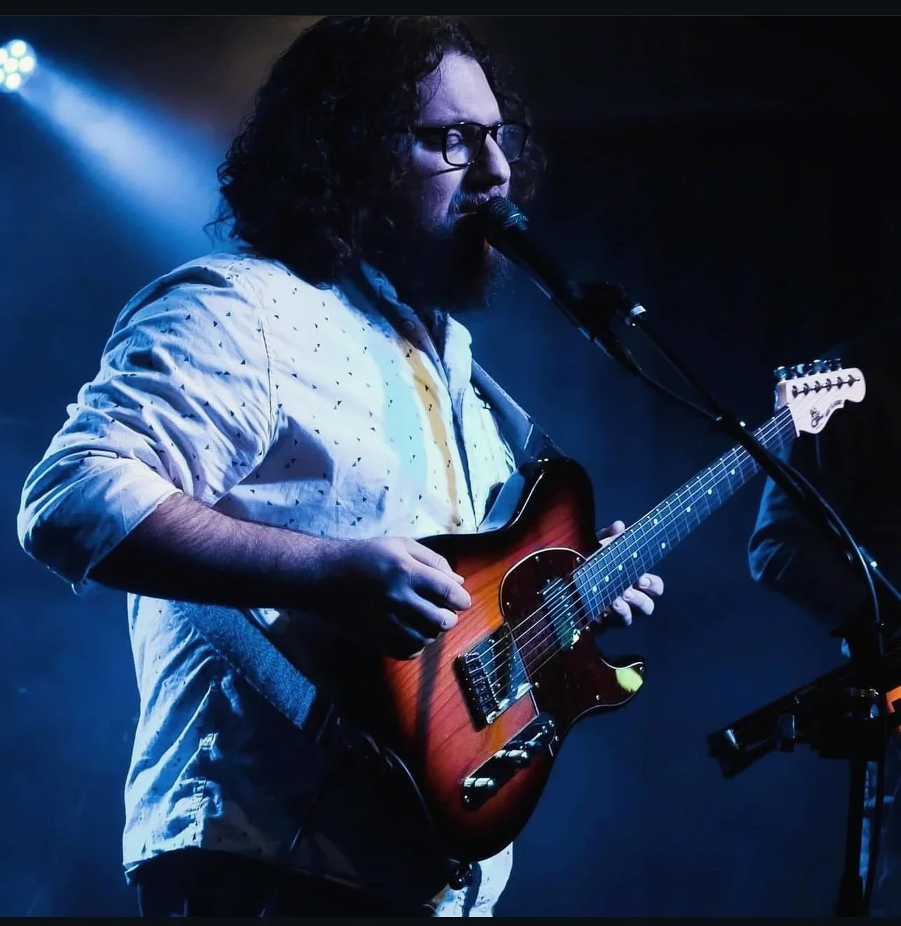 noah Feldman 