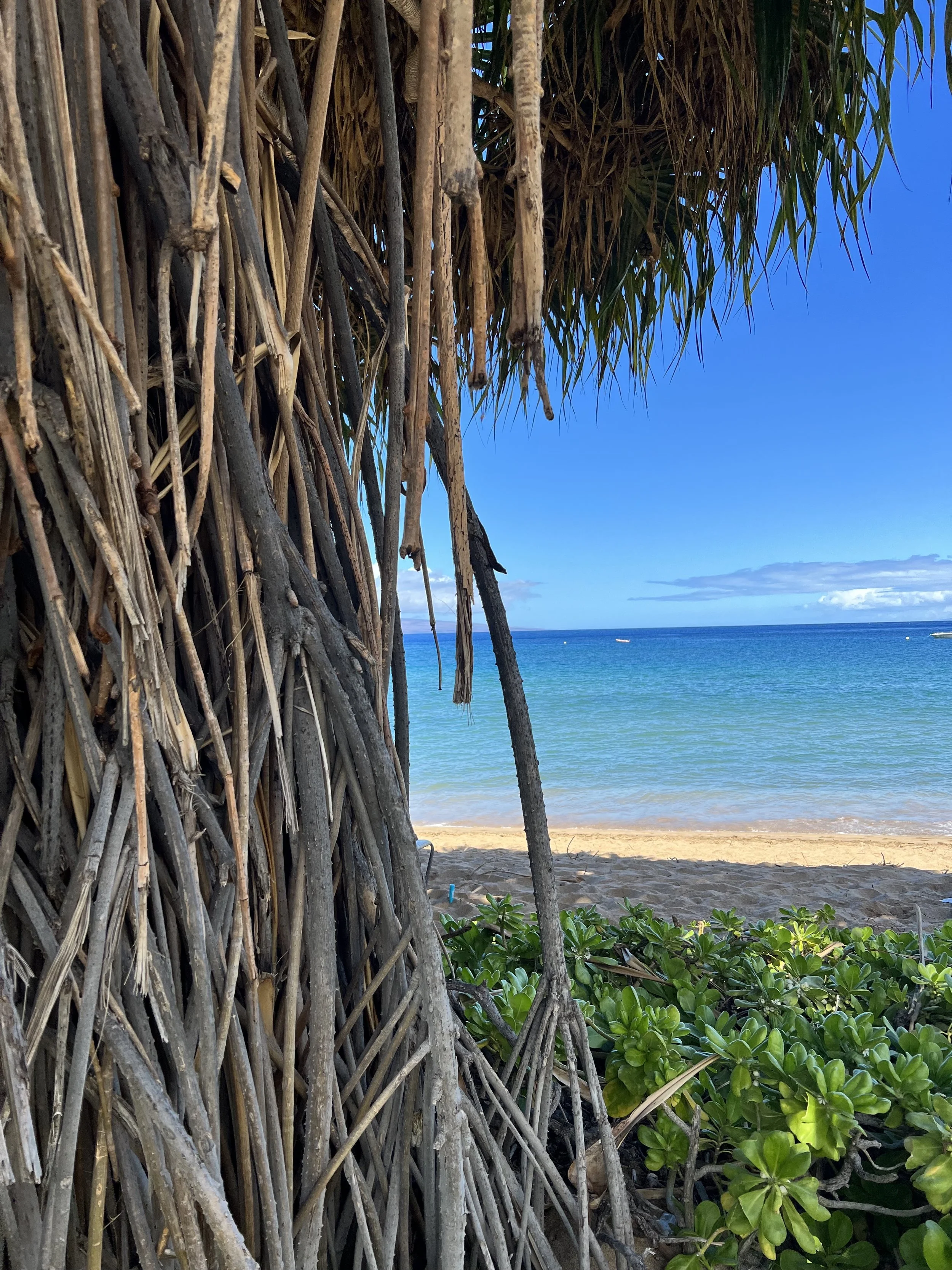7 Tips for Your Honeymoon in Maui