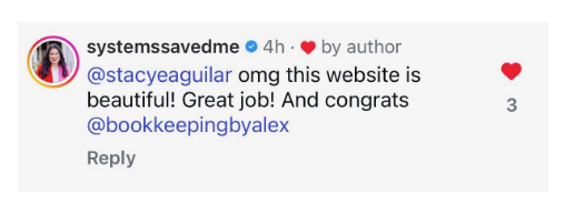 Screenshot of an Instagram comment from user systemssavedme praising a website as beautiful and congratulating someone named Alex, with a red heart and a blue verification badge.