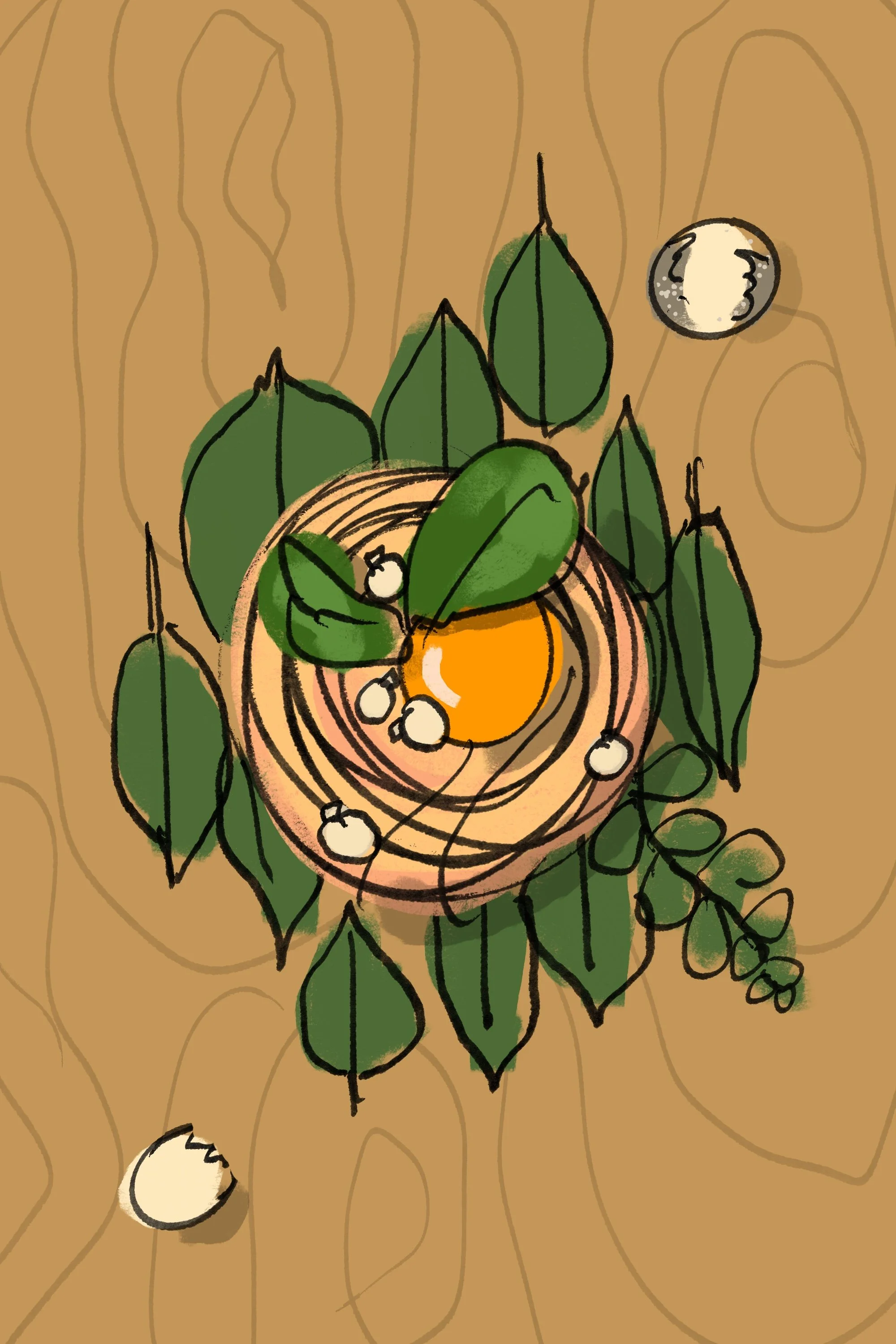 Bird's Nest Pasta