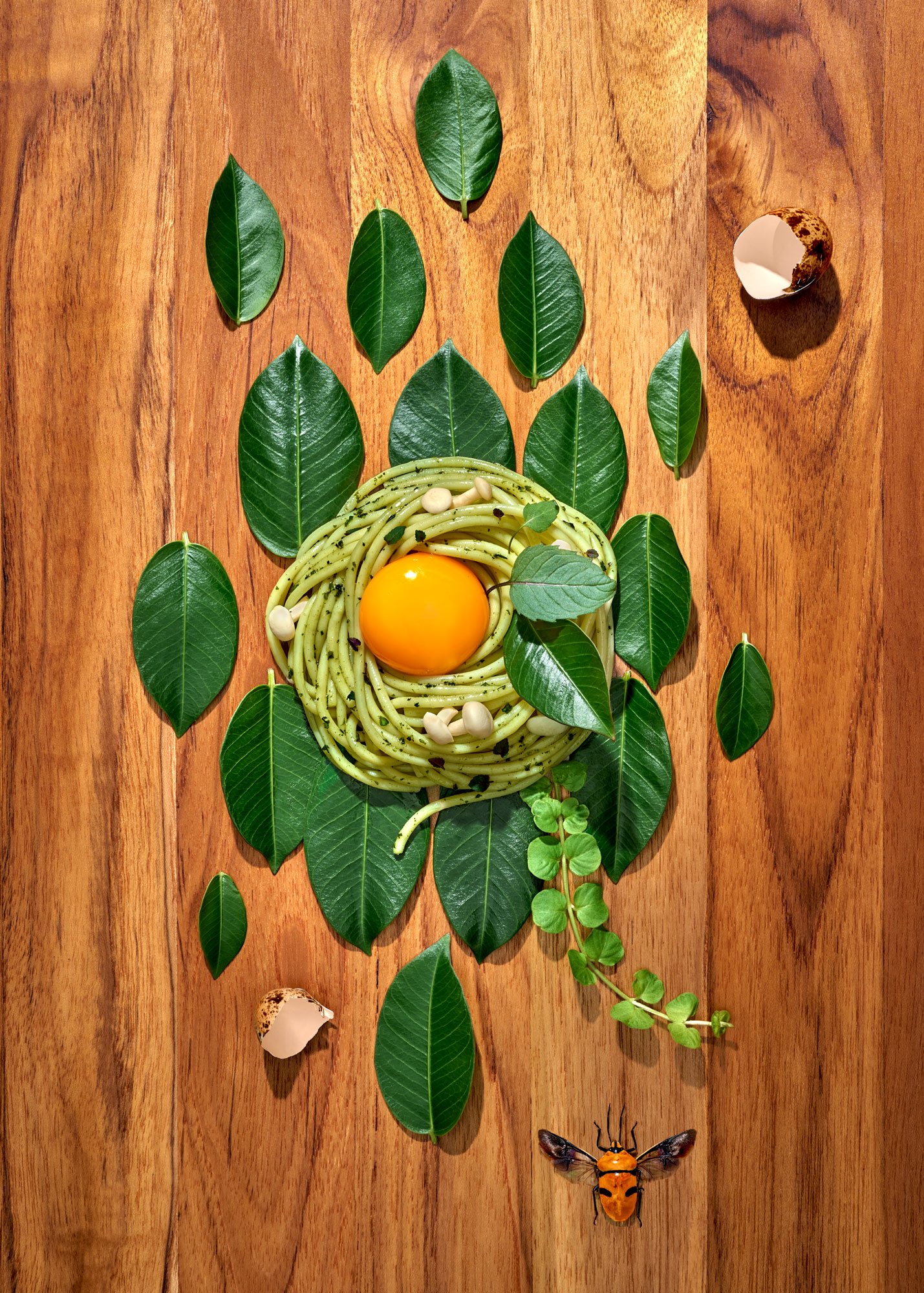 Commercial editorial style detail food photo featuring a wild-foraged herby pasta on a bed of leaves and teak surface. Photo by Suzanne Clements, commercial and editorial photographer based in Orlando and Chicago, available nationally.