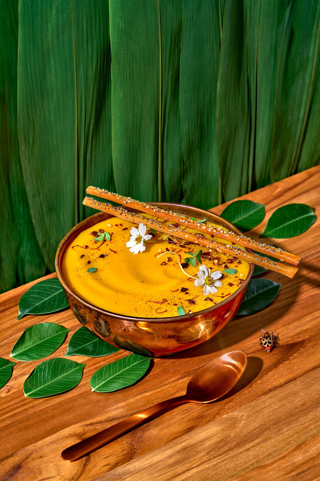 Dynamic editorial style food photography featuring a wild-foraged soup and natural setting. Photo by Suzanne Clements, commercial and editorial photographer based in Orlando and Chicago, available nationally.