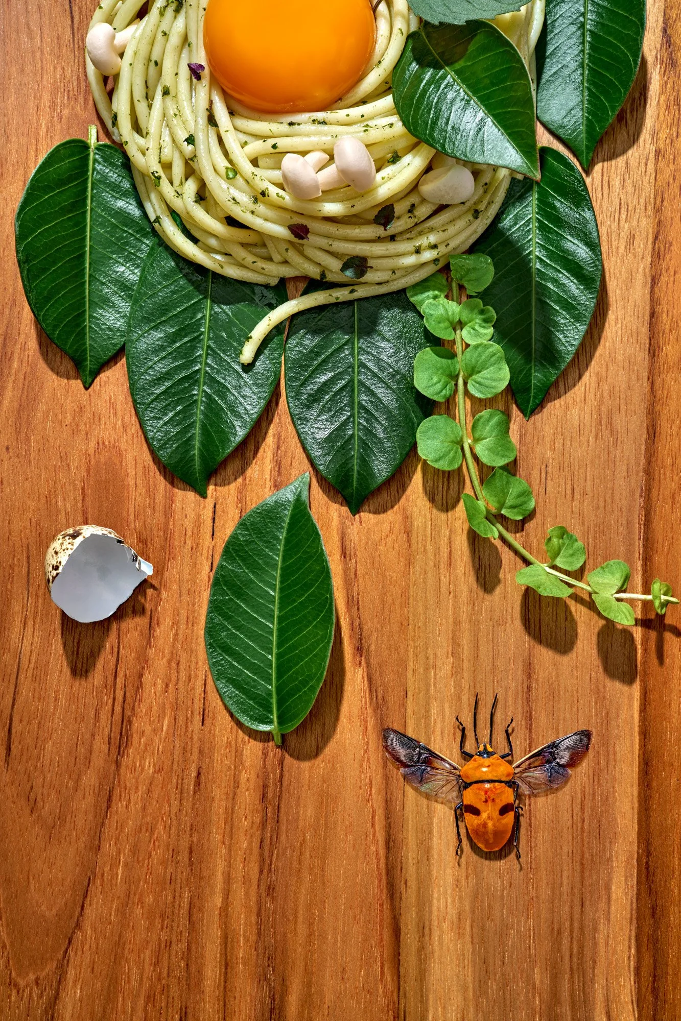 Commercial editorial style detail food photo featuring a wild-foraged herby pasta on a bed of leaves. Photo by Suzanne Clements, commercial and editorial photographer based in Orlando and Chicago, available nationally.