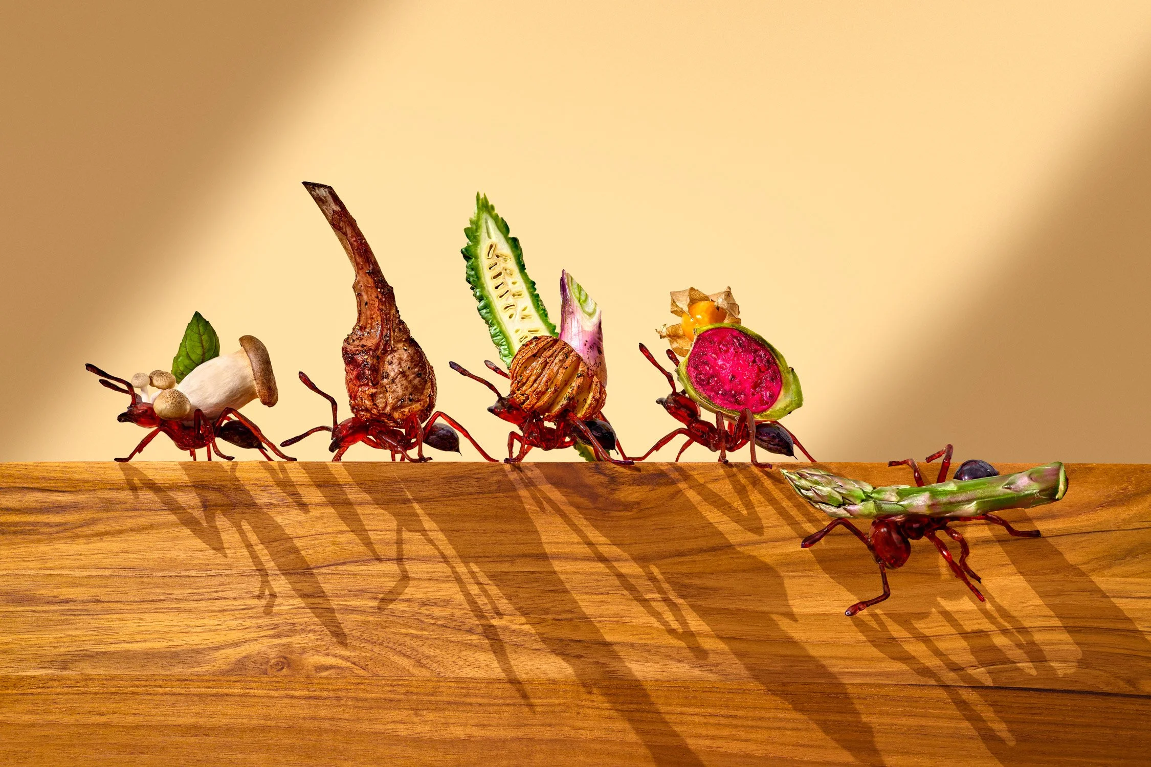 Conceptual photo of a colony of ants carrying various meal courses including mushrooms, animal chop, wild-foraged vegetables, prickly pear, and more for a five course meal. Conceptual photography by Suzanne Clements.