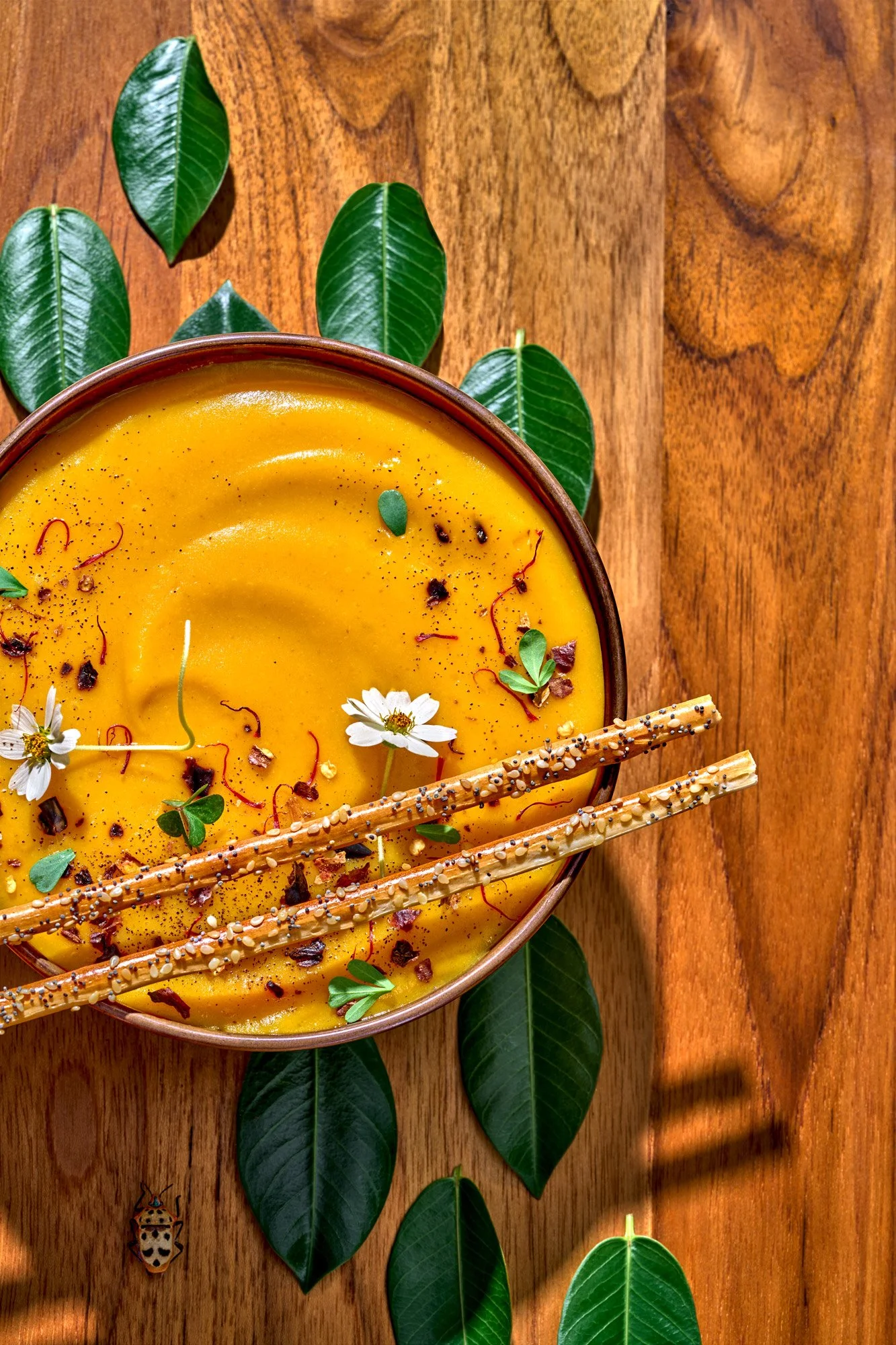 Commercial editorial style food photography featuring a wild-foraged soup and natural setting capture from above. Photo by Suzanne Clements, commercial and editorial photographer based in Orlando and Chicago, available nationally.