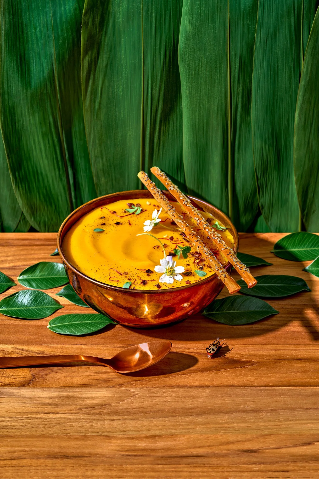 Commercial editorial style food photography featuring a wild-foraged soup and natural setting. Photo by Suzanne Clements, commercial and editorial photographer based in Orlando and Chicago, available nationally.