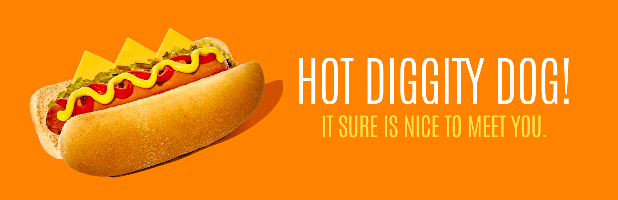 A hot dog in a bun with mustard, ketchup, relish, and cheese slices on a bright orange background, with text reading 'Hot Diggity Dog! It Sure Is Nice To Meet You.'
