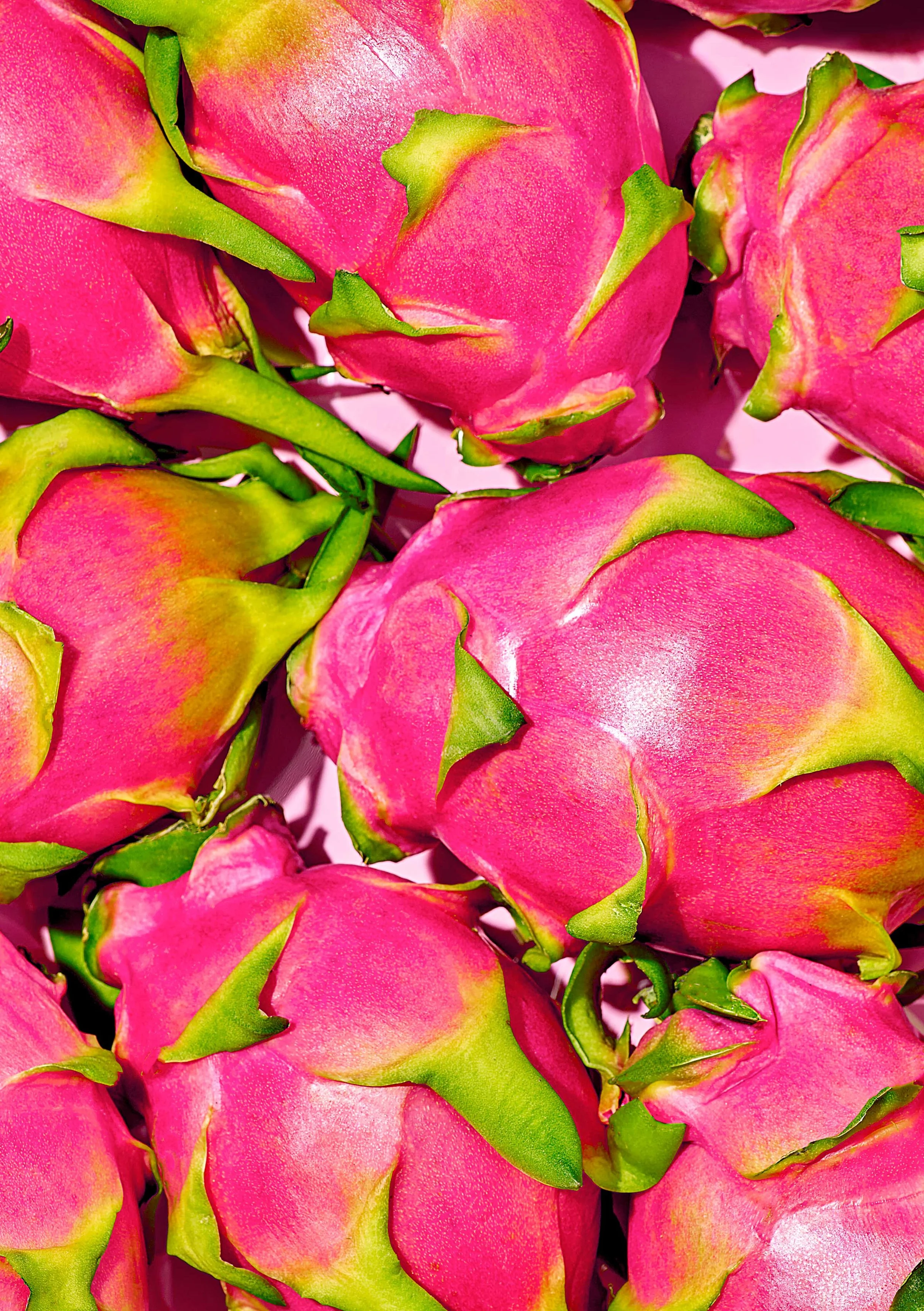 Overhead macro shot of whole dragon fruit with hot pink scaled skin and green tips, densely arranged on a pale pink backdrop for Suzanne Clements' Publix summer produce campaign.