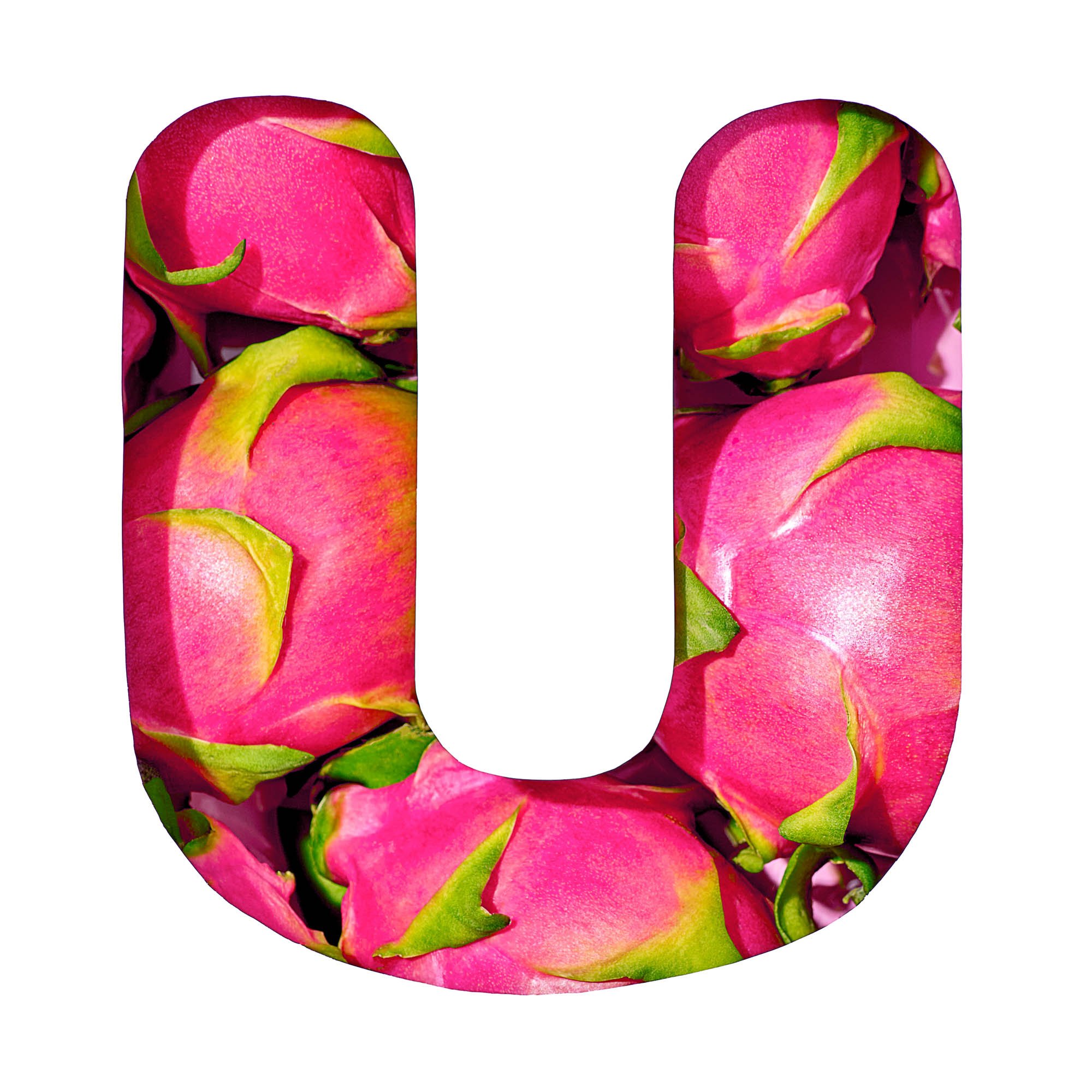 The letter U filled with whole pink dragon fruit and green-tipped skin, part of Suzanne Clements' produce-spelled SUMMER title card for the Publix summer campaign.