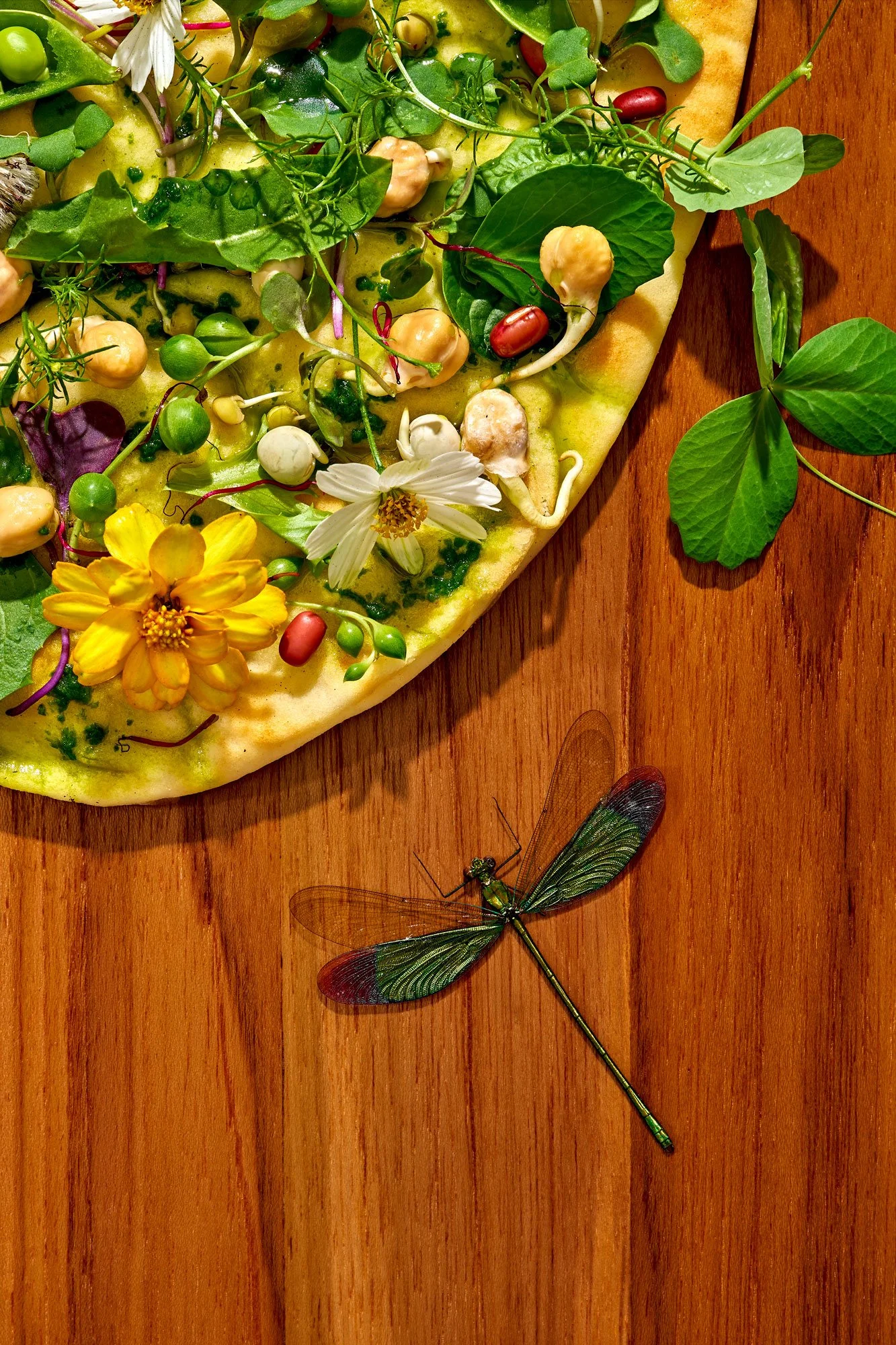 Commercial editorial style detail food photo featuring a wild-foraged flatbread and damsel fly. Photo by Suzanne Clements, commercial and editorial photographer based in Orlando and Chicago, available nationally.