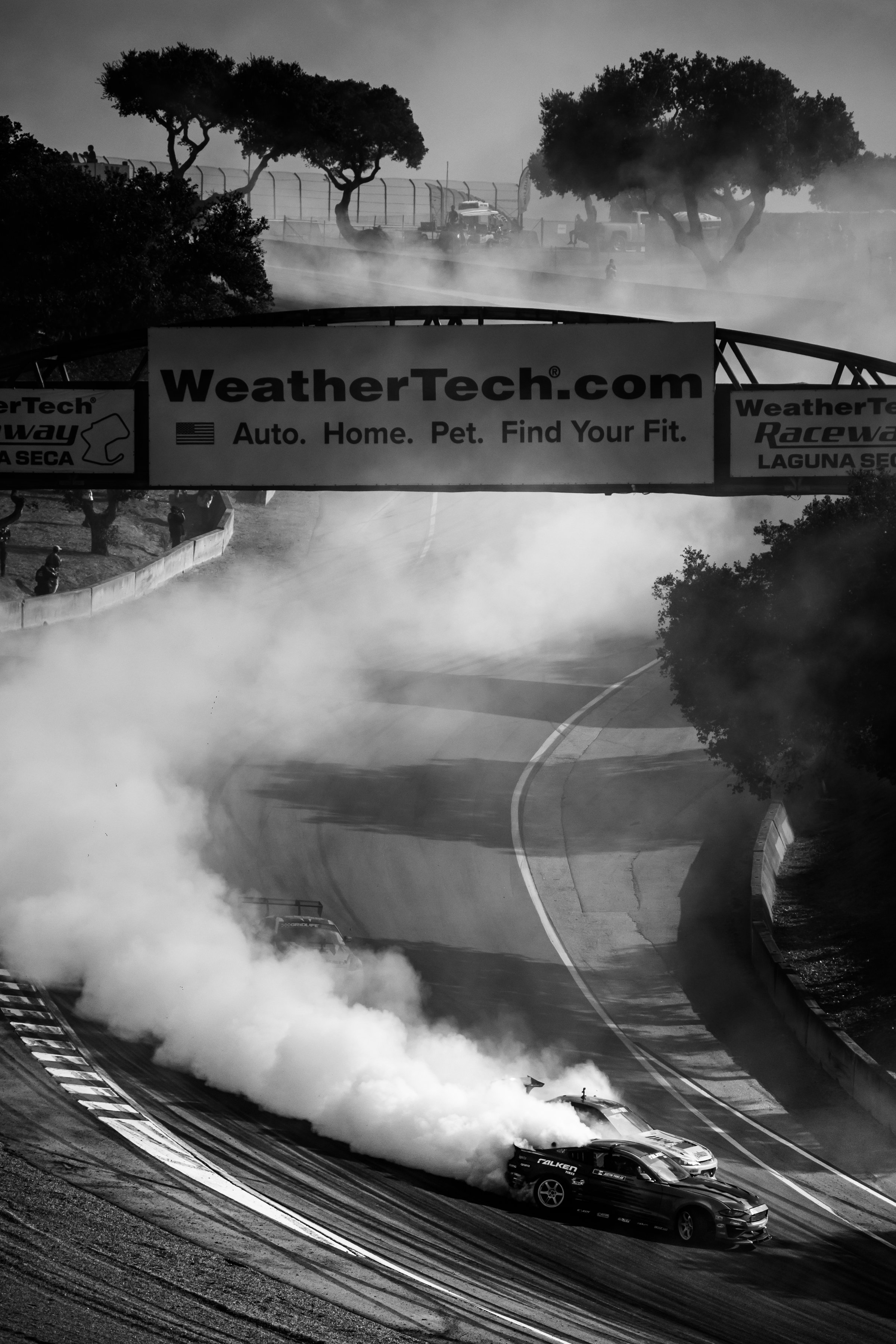 0042_2025track.jpg