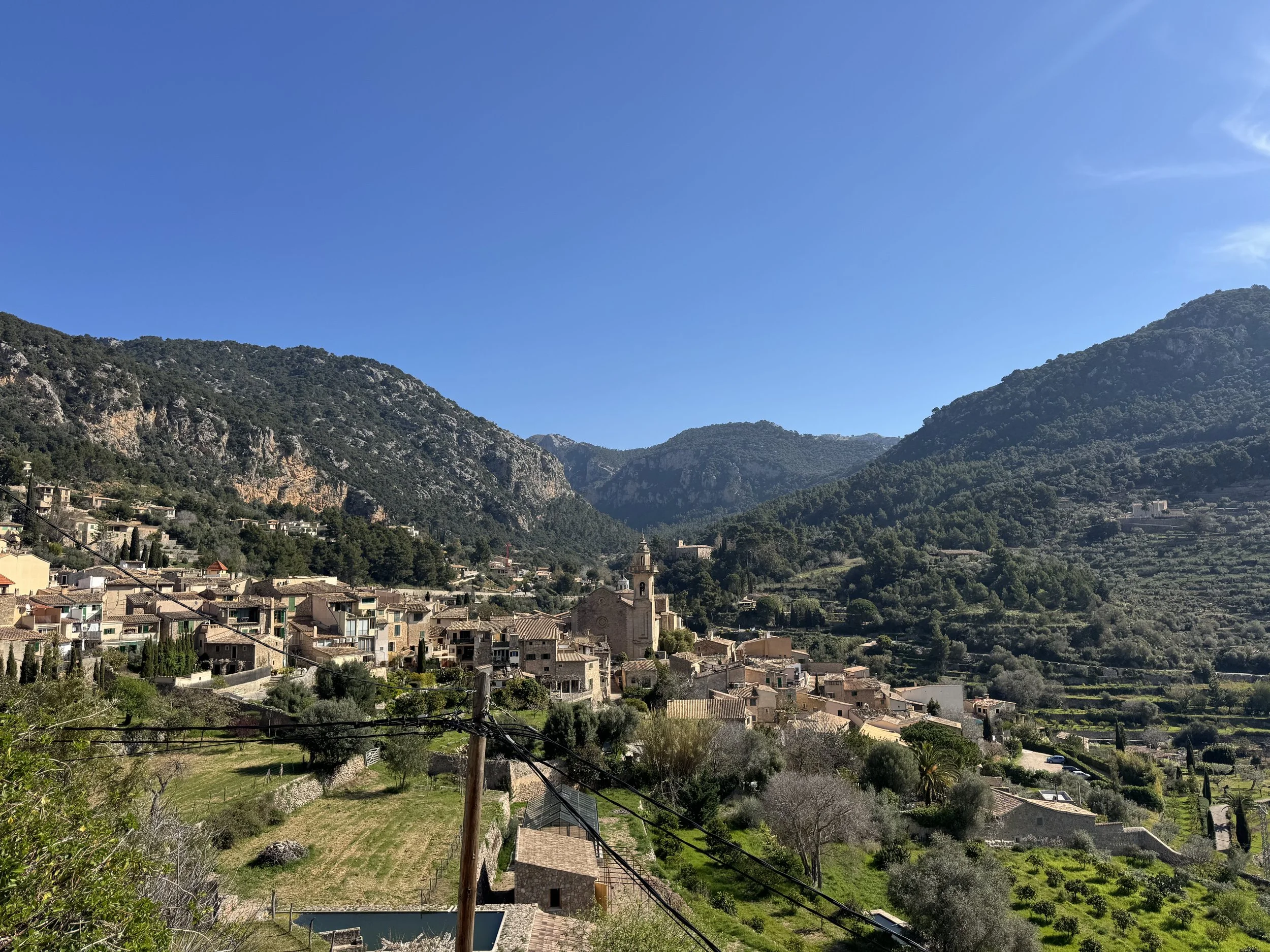 IMG_0372.jpeg