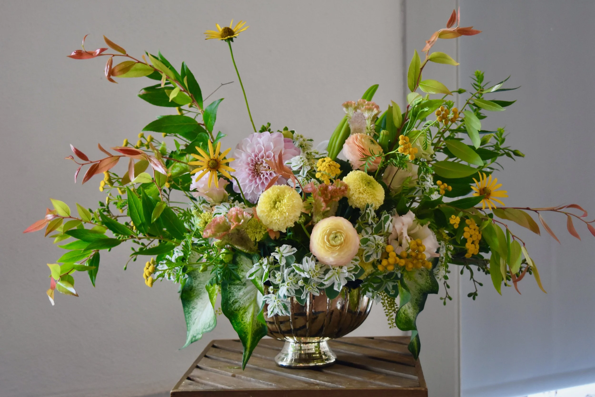 Open-Hearted Designs