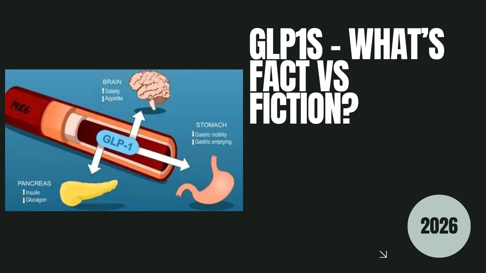 GLP1s - Separating the Fact vs Fiction
