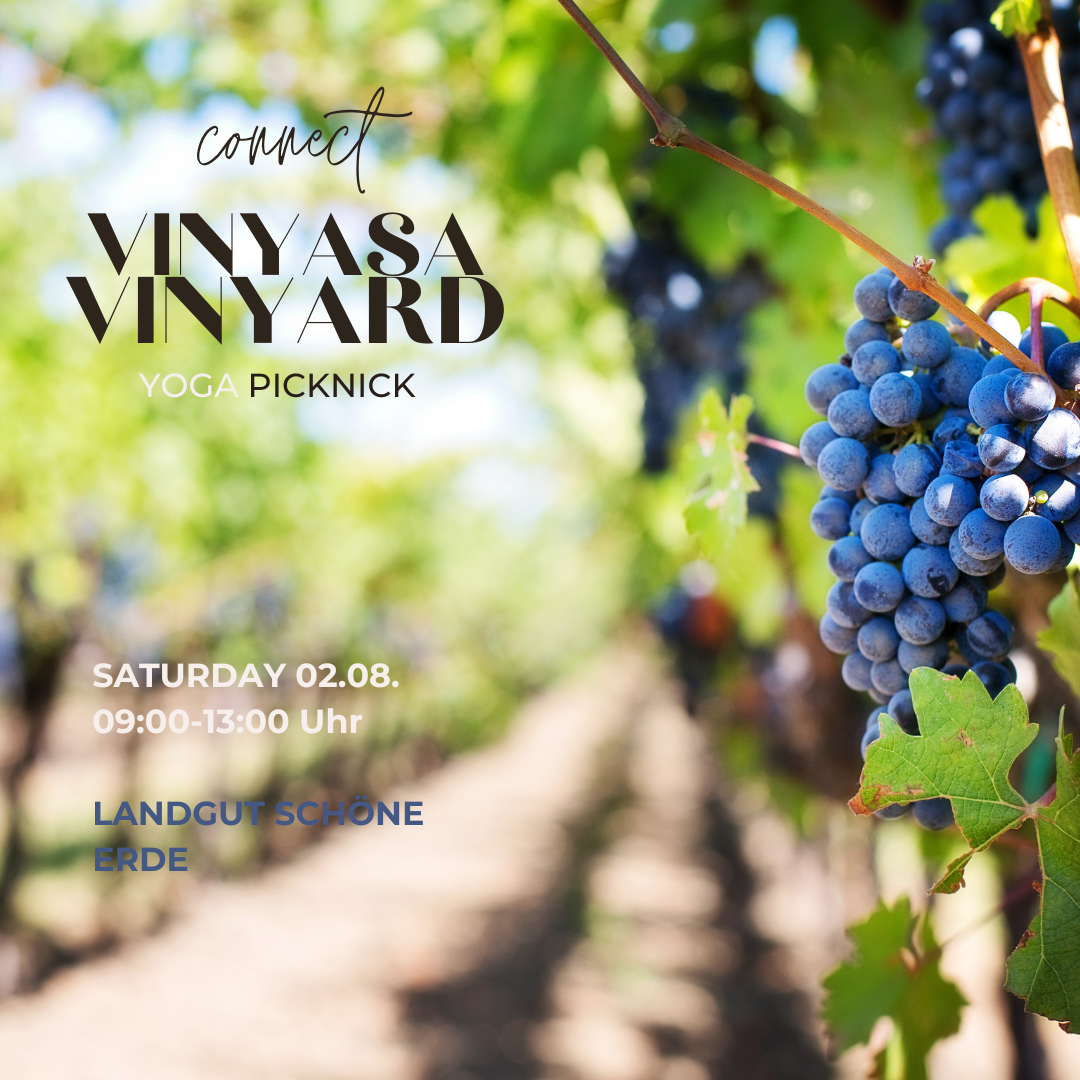 Vinyasa in the Vinyards - Yoga Picknick + Winegarden walk