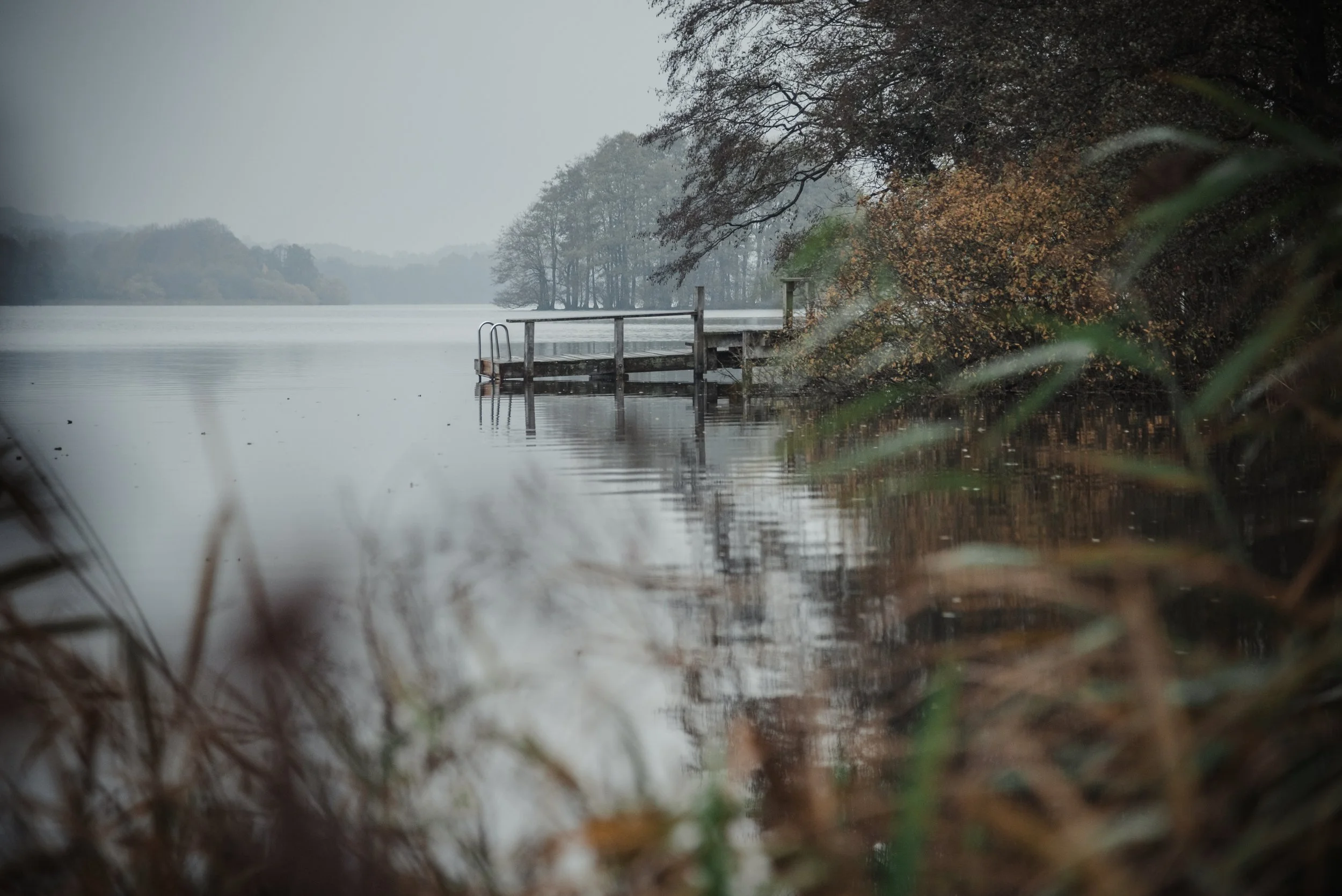 Landscape-15.jpg
