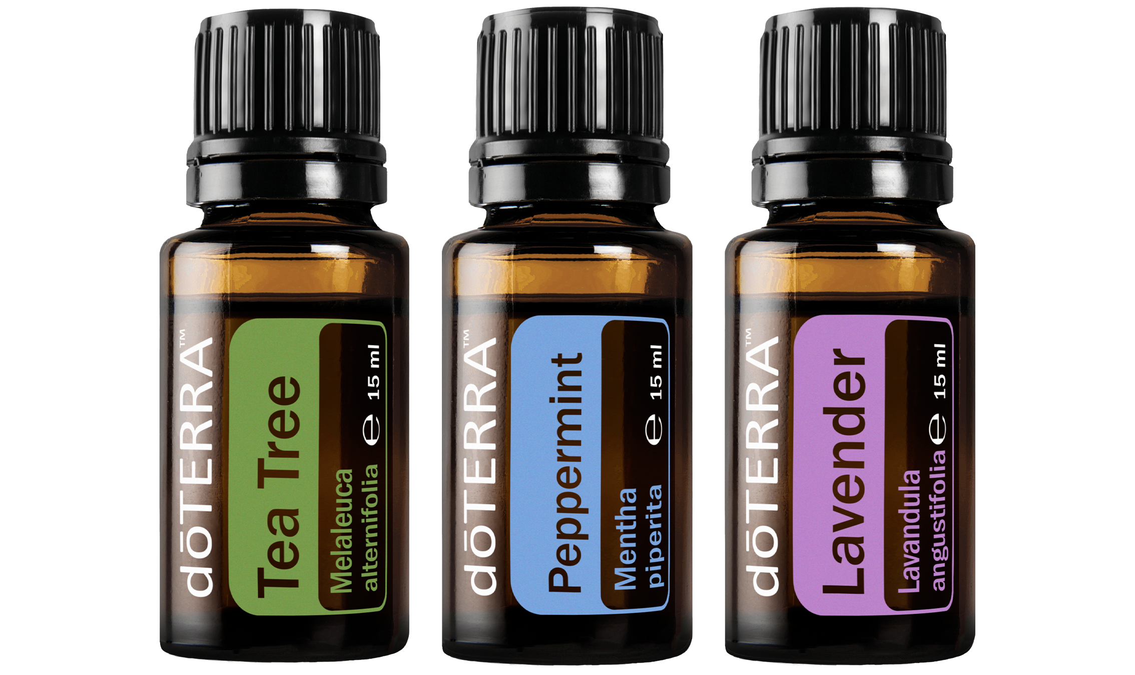 Routine sensorielle été