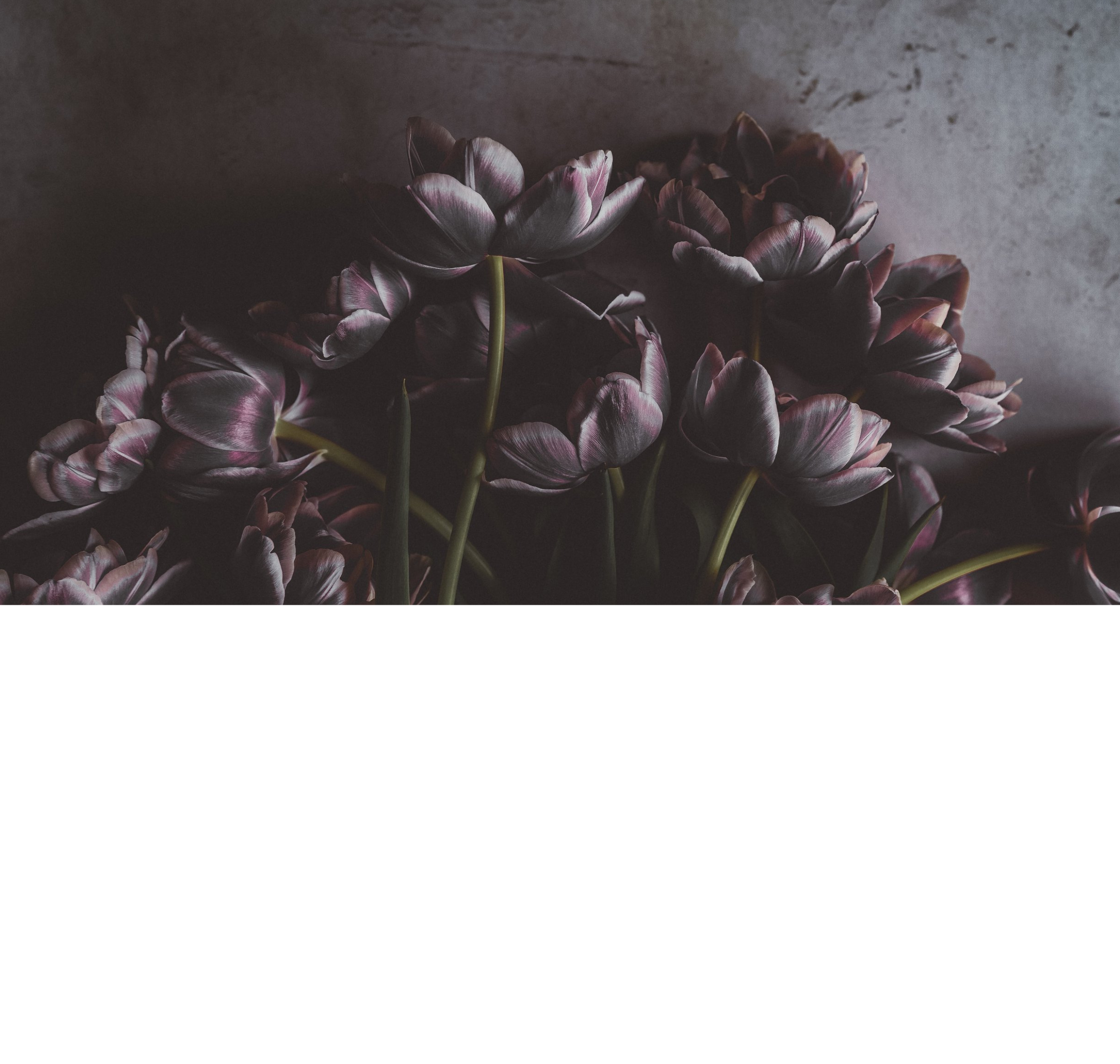 Copy of Home1 About1 Services1 (Iris)-2.png