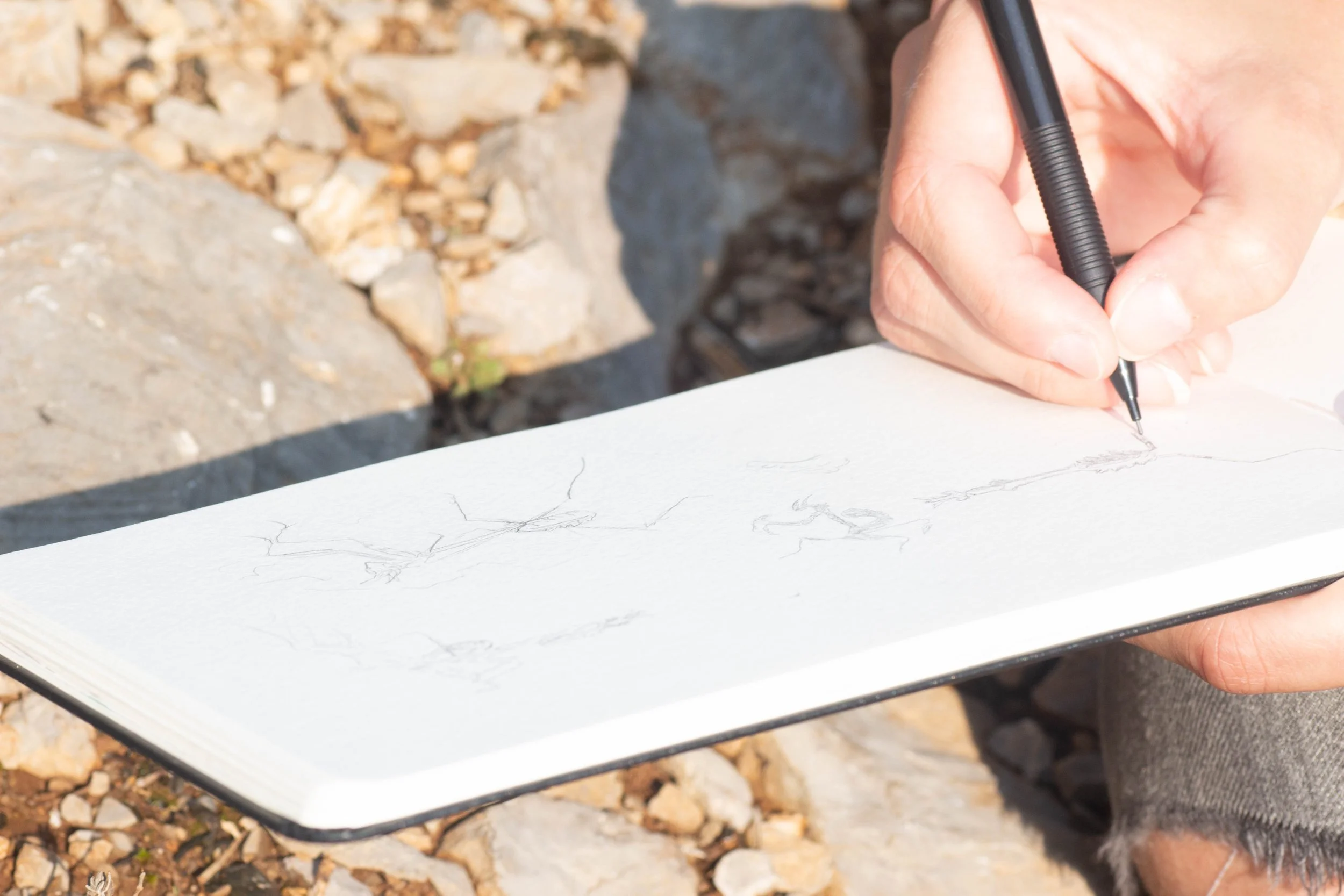 croquis de terrain Zamenys illustration