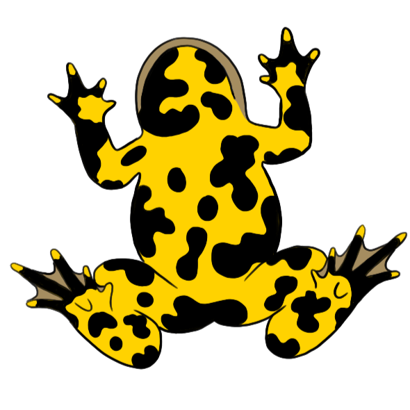 illustration mascotte de Sonneur à ventre jaune face ventrale