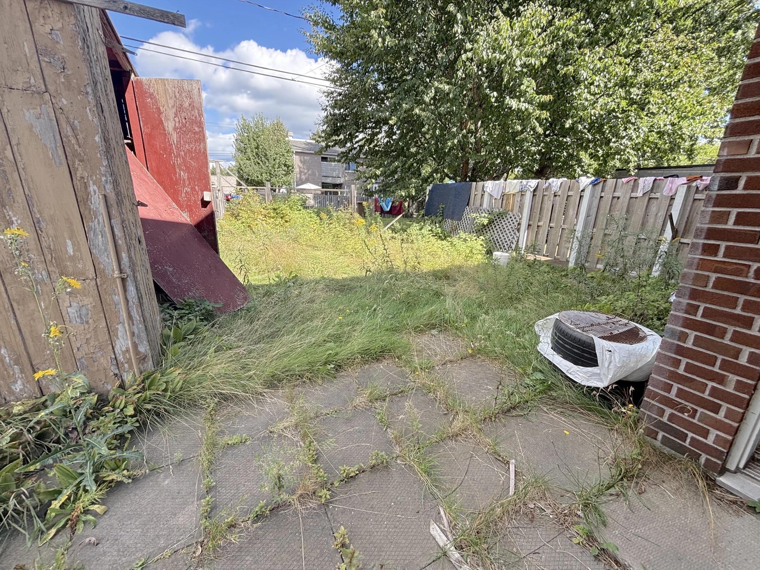 7 COUR ARRIÈRE A.jpeg