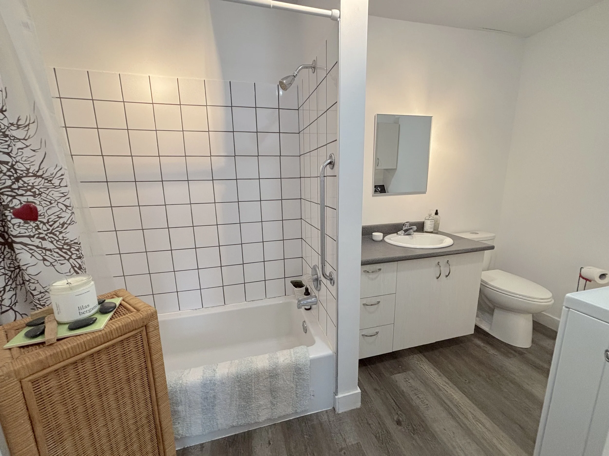 5. SALLE DE BAIN b.jpeg