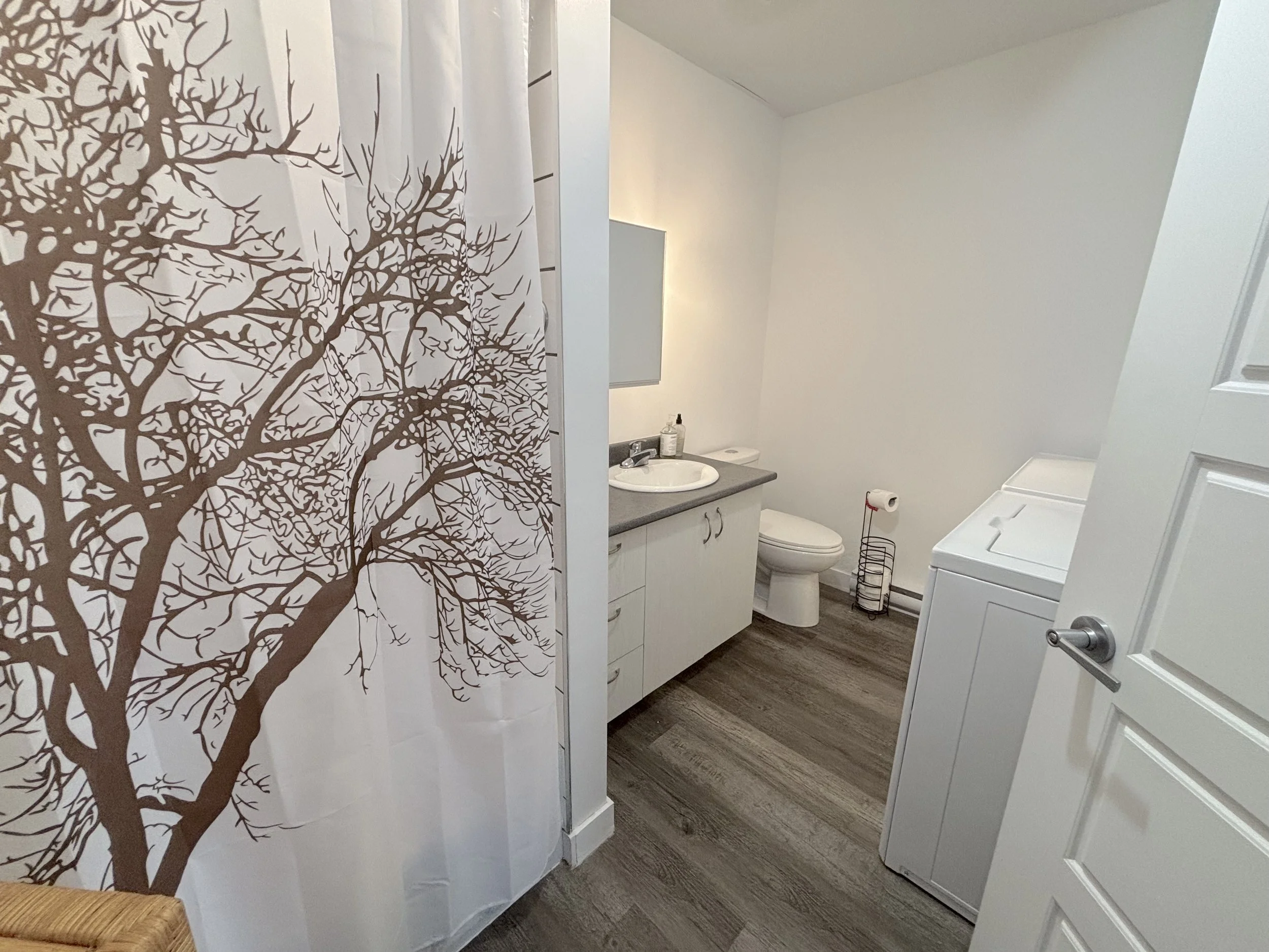 5. SALLE DE BAIN a.jpeg