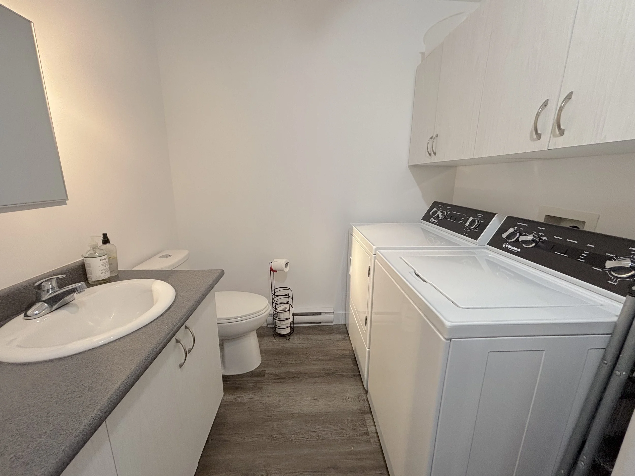 5. SALLE DE BAIN (lav-sech).jpeg