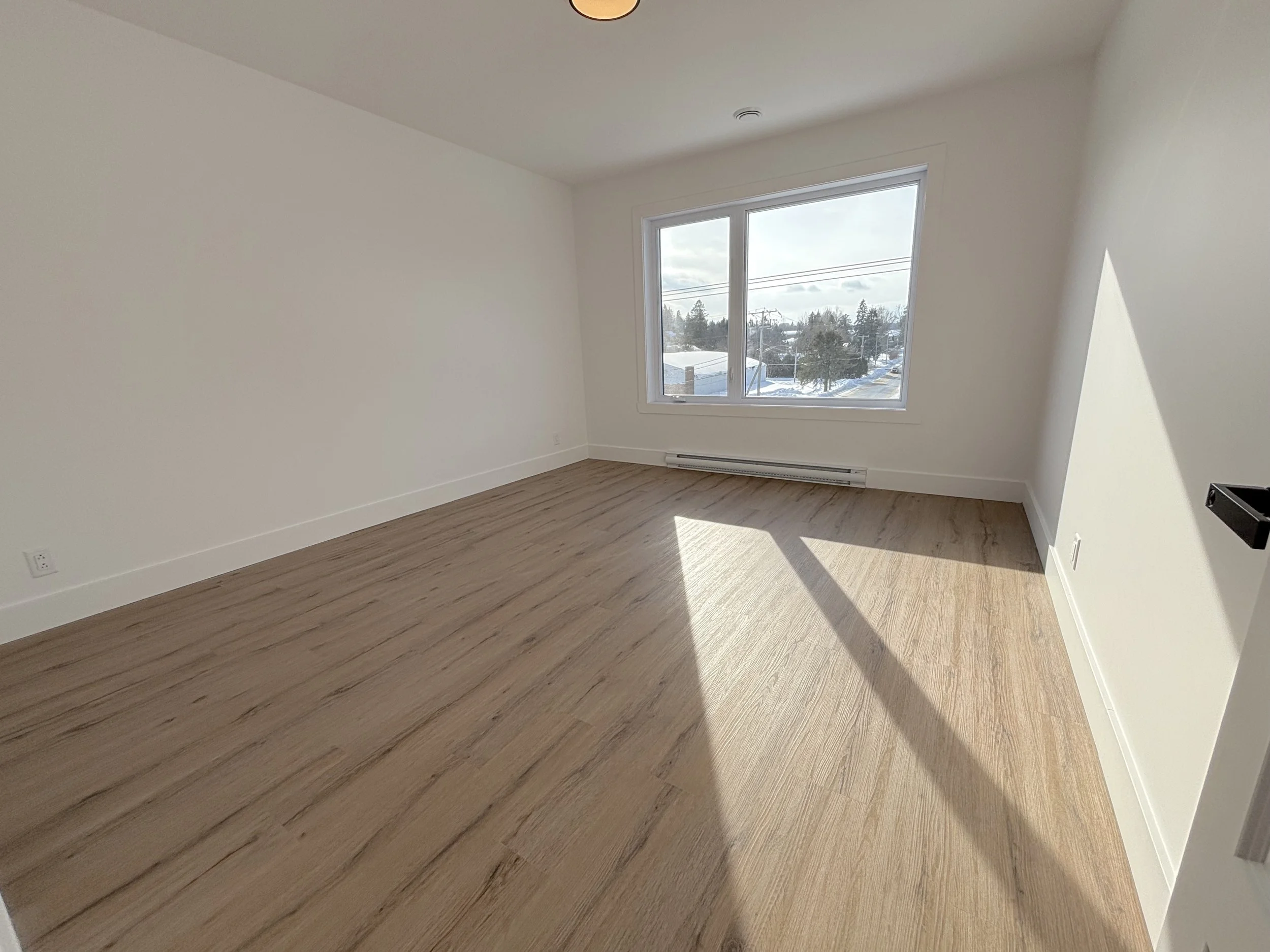 3. CHAMB-PRINCa.jpeg